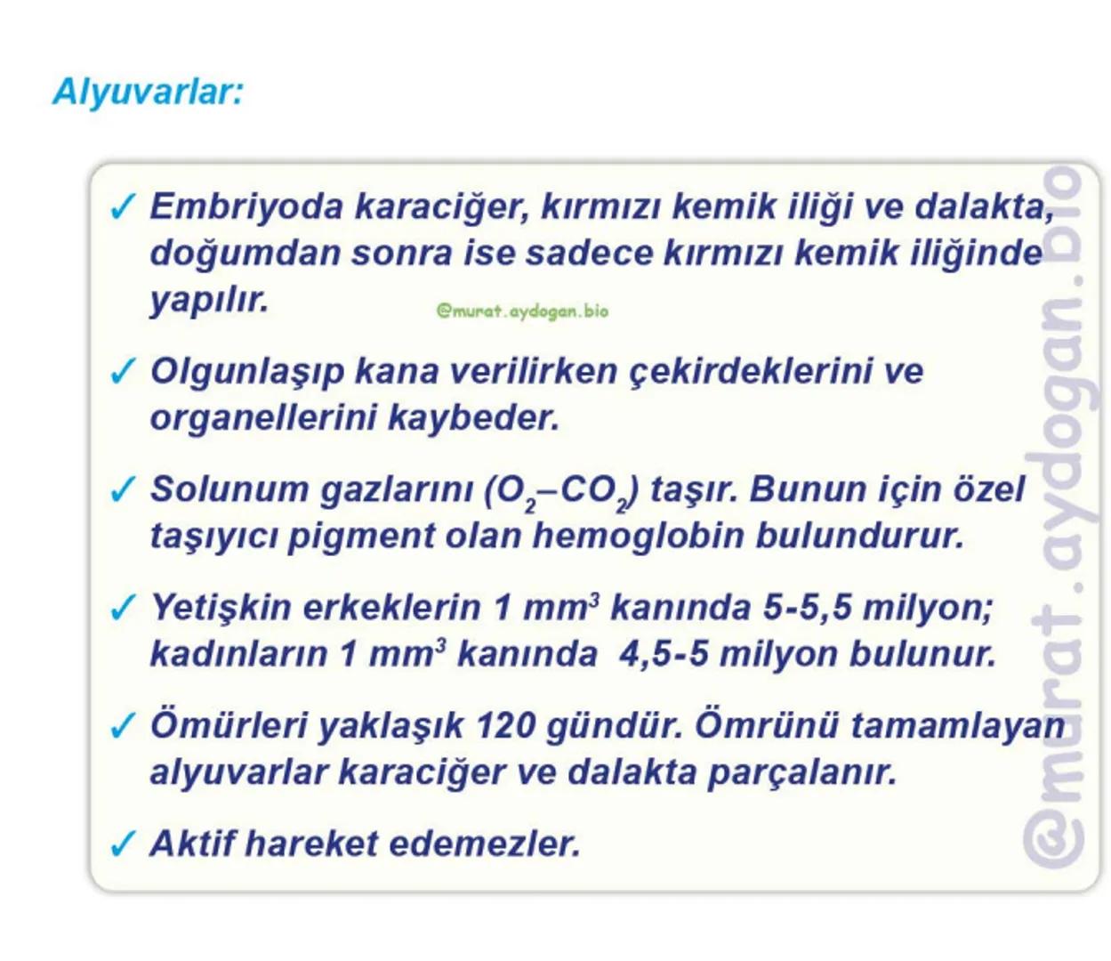 Kalbin Yapısı: Kalp iki kulakçık ve iki karıncıktan oluşur.
Kulakçıklar toplardamarlarla, karıncıklar atardamarlarla
bağlantılıdır. @Murat.a