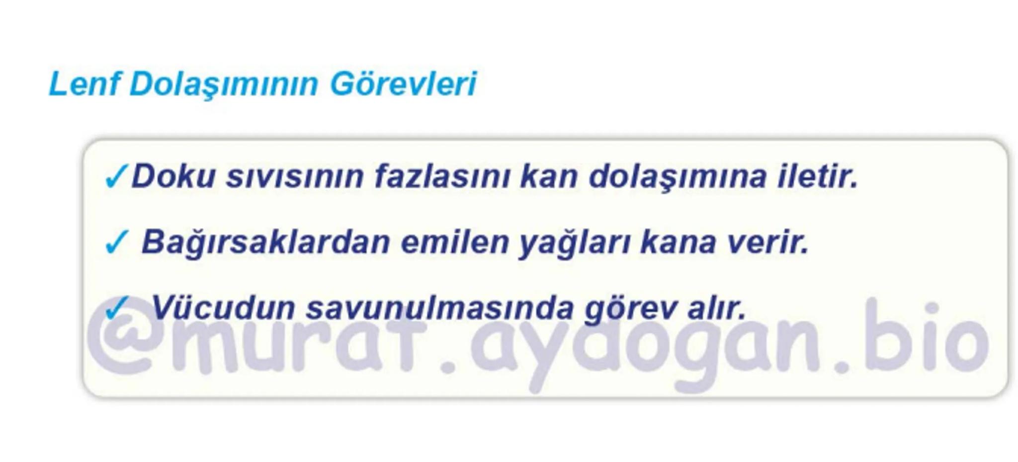 Kalbin Yapısı: Kalp iki kulakçık ve iki karıncıktan oluşur.
Kulakçıklar toplardamarlarla, karıncıklar atardamarlarla
bağlantılıdır. @Murat.a