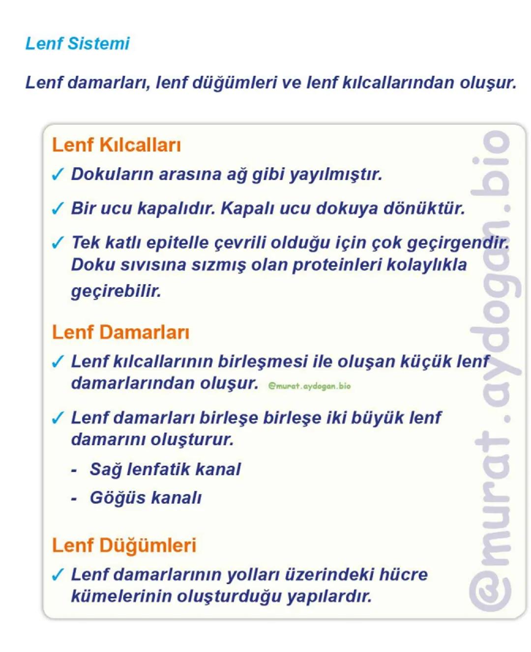Kalbin Yapısı: Kalp iki kulakçık ve iki karıncıktan oluşur.
Kulakçıklar toplardamarlarla, karıncıklar atardamarlarla
bağlantılıdır. @Murat.a