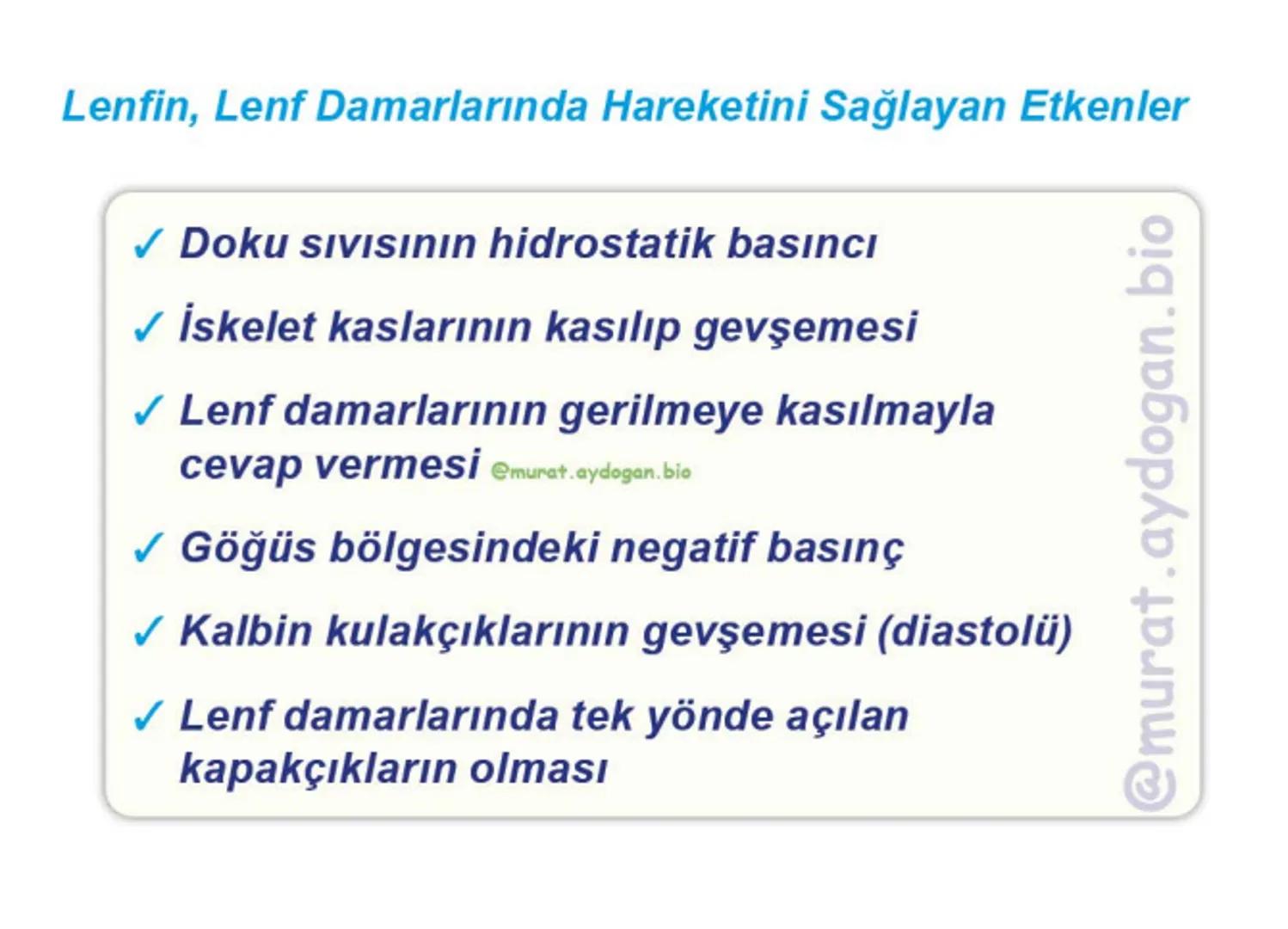 Kalbin Yapısı: Kalp iki kulakçık ve iki karıncıktan oluşur.
Kulakçıklar toplardamarlarla, karıncıklar atardamarlarla
bağlantılıdır. @Murat.a