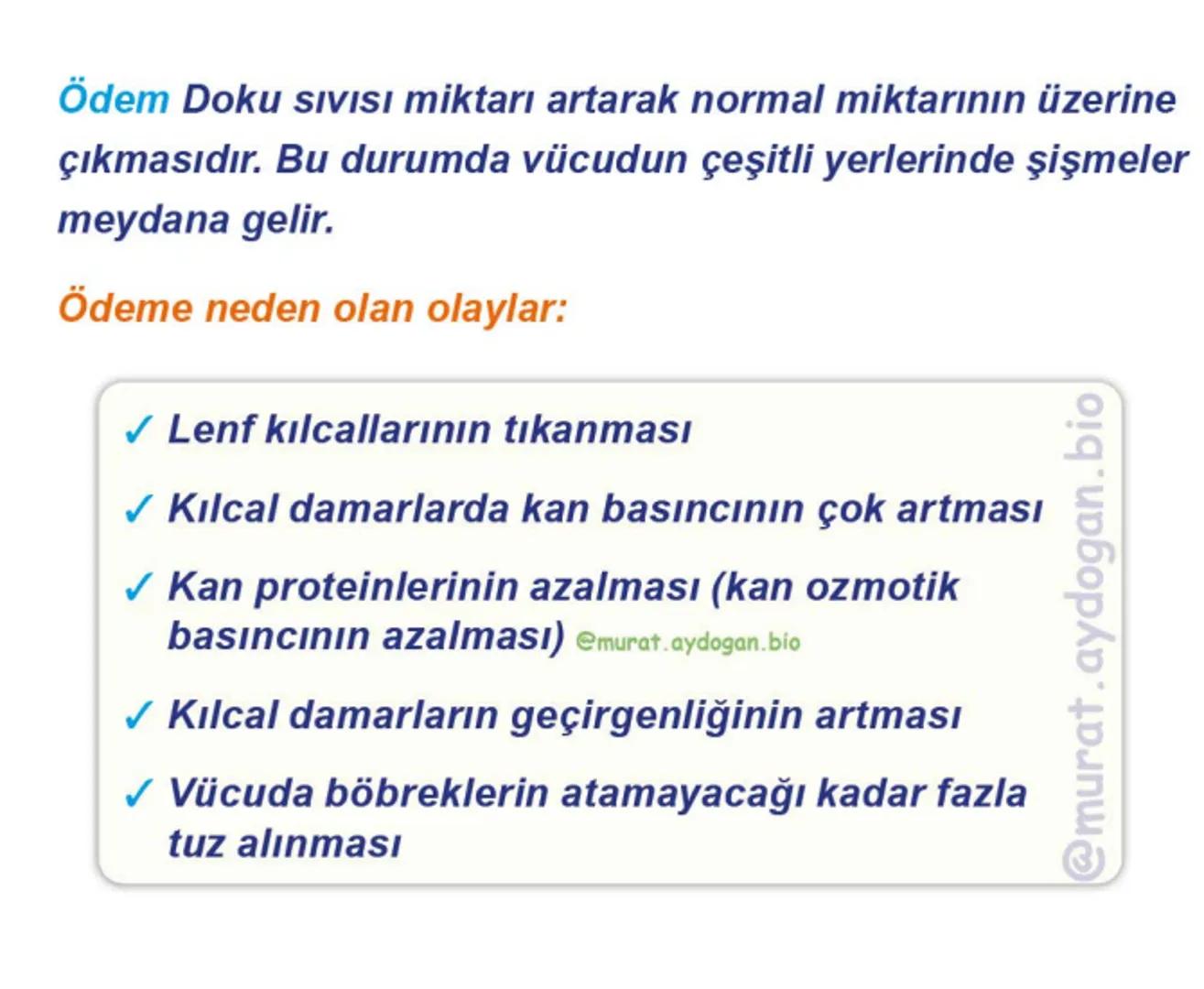 Kalbin Yapısı: Kalp iki kulakçık ve iki karıncıktan oluşur.
Kulakçıklar toplardamarlarla, karıncıklar atardamarlarla
bağlantılıdır. @Murat.a
