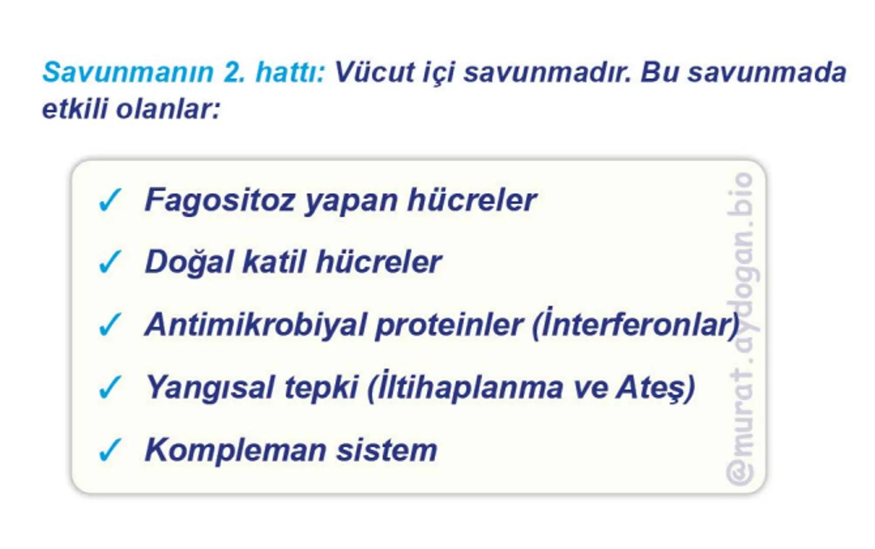 Kalbin Yapısı: Kalp iki kulakçık ve iki karıncıktan oluşur.
Kulakçıklar toplardamarlarla, karıncıklar atardamarlarla
bağlantılıdır. @Murat.a