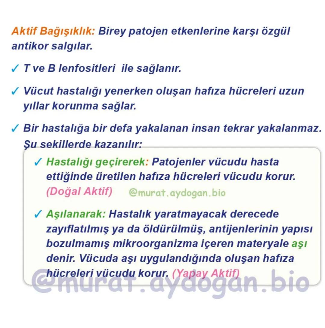Kalbin Yapısı: Kalp iki kulakçık ve iki karıncıktan oluşur.
Kulakçıklar toplardamarlarla, karıncıklar atardamarlarla
bağlantılıdır. @Murat.a