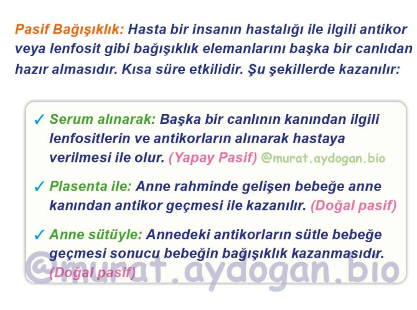Kalbin Yapısı: Kalp iki kulakçık ve iki karıncıktan oluşur.
Kulakçıklar toplardamarlarla, karıncıklar atardamarlarla
bağlantılıdır. @Murat.a
