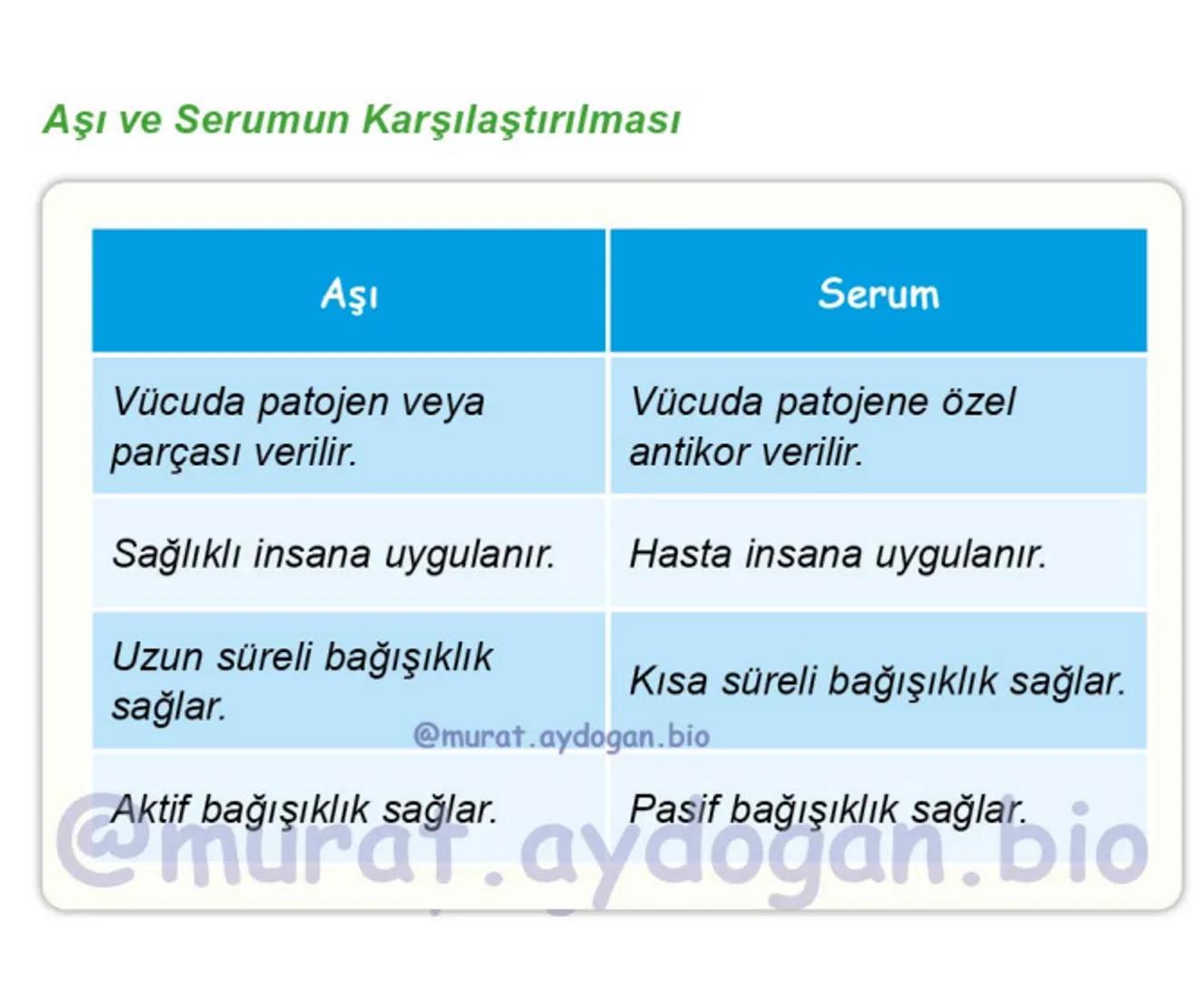 Kalbin Yapısı: Kalp iki kulakçık ve iki karıncıktan oluşur.
Kulakçıklar toplardamarlarla, karıncıklar atardamarlarla
bağlantılıdır. @Murat.a