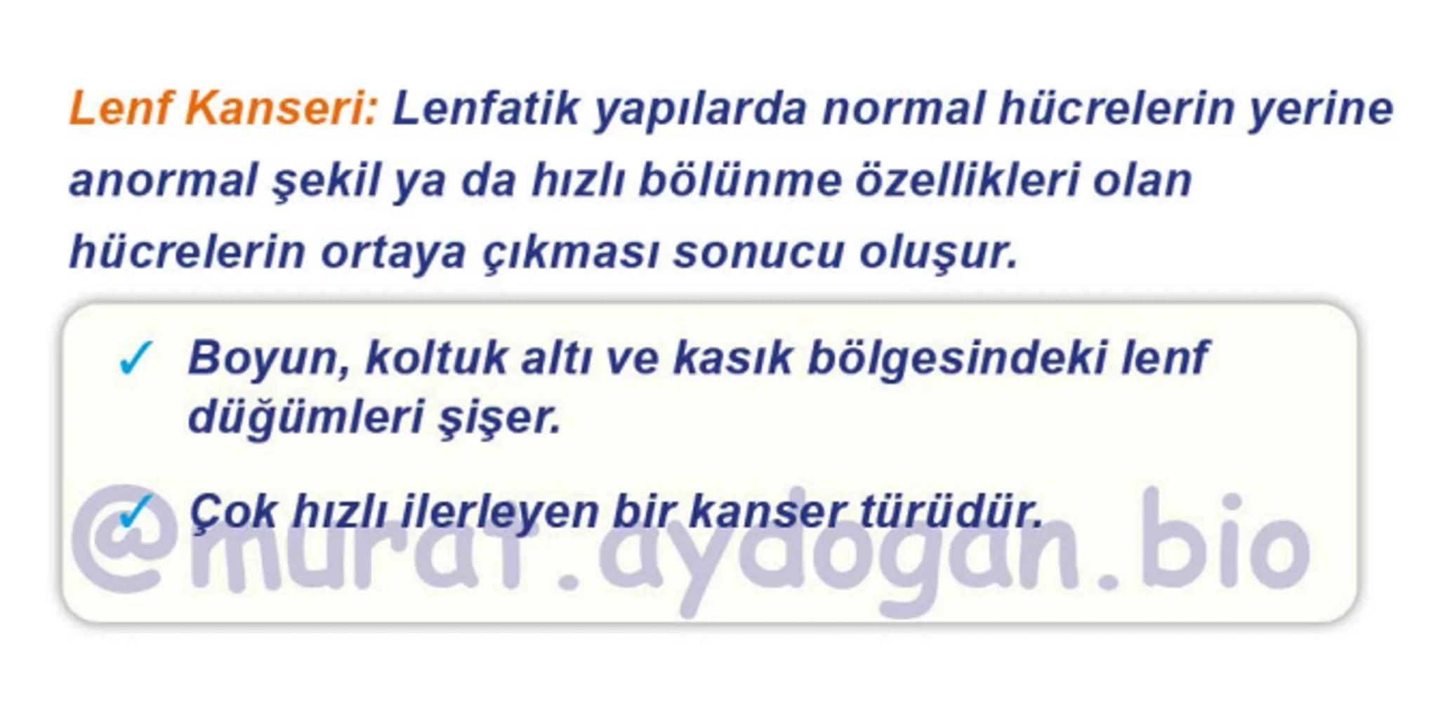 Kalbin Yapısı: Kalp iki kulakçık ve iki karıncıktan oluşur.
Kulakçıklar toplardamarlarla, karıncıklar atardamarlarla
bağlantılıdır. @Murat.a