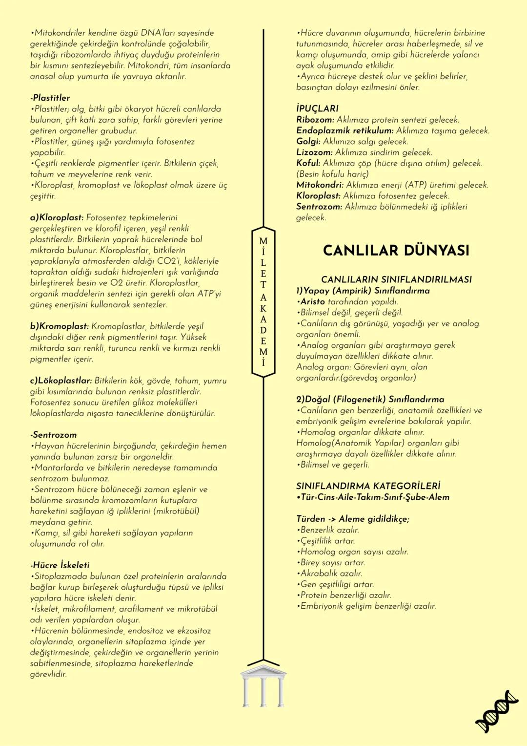 MİLET AKADEMİ
2020 - 2021 Konu Özetleri
Youtube kanalımıza abone olmayı unutmayın! # MILET AKADEMI
## BİYOLOJİ
### KONU ÖZETİ # CANLILARIN O