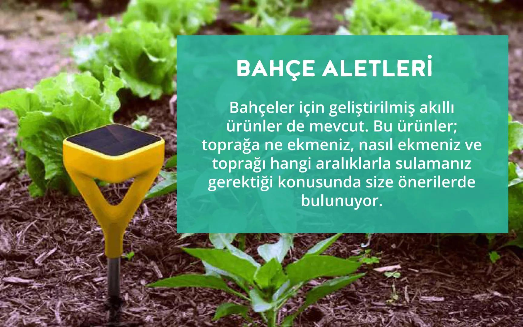 NESNELERİN
İNTERNETİ
NEDİR? T
ר
V
14
00
1111
||||
Nesnelerin interneti (Internet of Things, kısaca IoT),
fiziksel nesnelerin birbirleriyle v