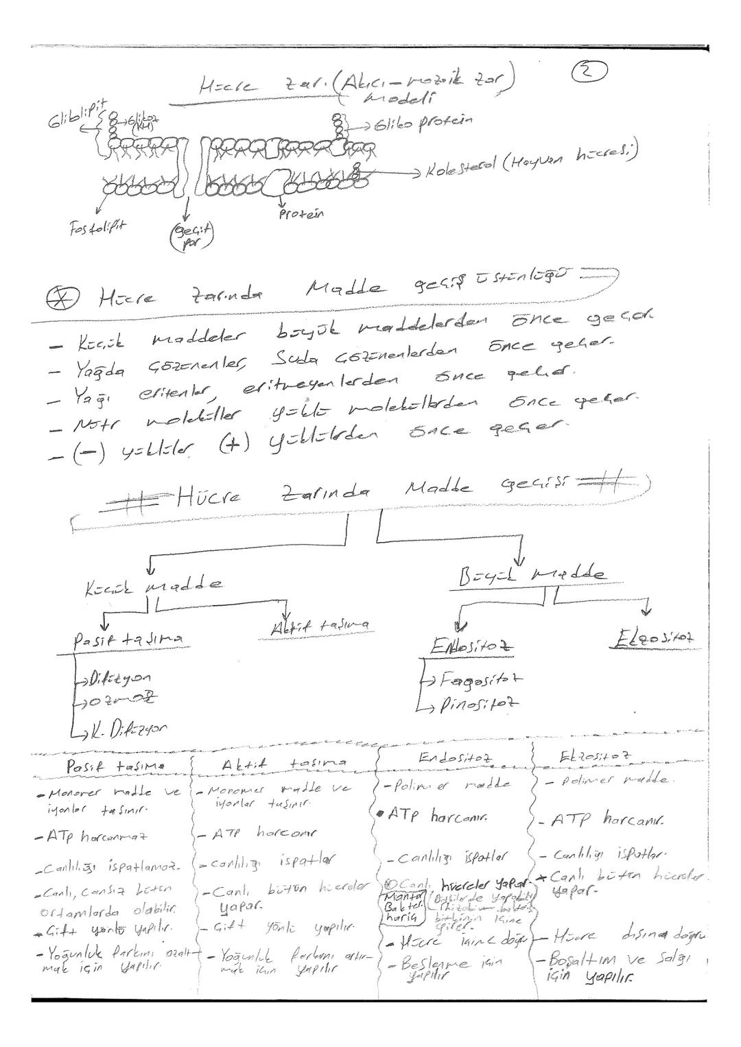 Yağlar (Lipitler) #
- Yapılarında
Hidrojen
atomu
sok
olduğu
için
Solunum
ları Sonucu
bol miktarda
ATP
94199
çikor.
Solunumlarıyla
metabolik