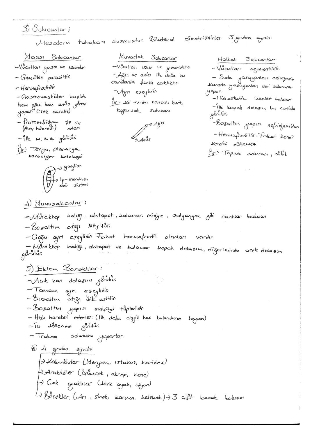 Yağlar (Lipitler) #
- Yapılarında
Hidrojen
atomu
sok
olduğu
için
Solunum
ları Sonucu
bol miktarda
ATP
94199
çikor.
Solunumlarıyla
metabolik