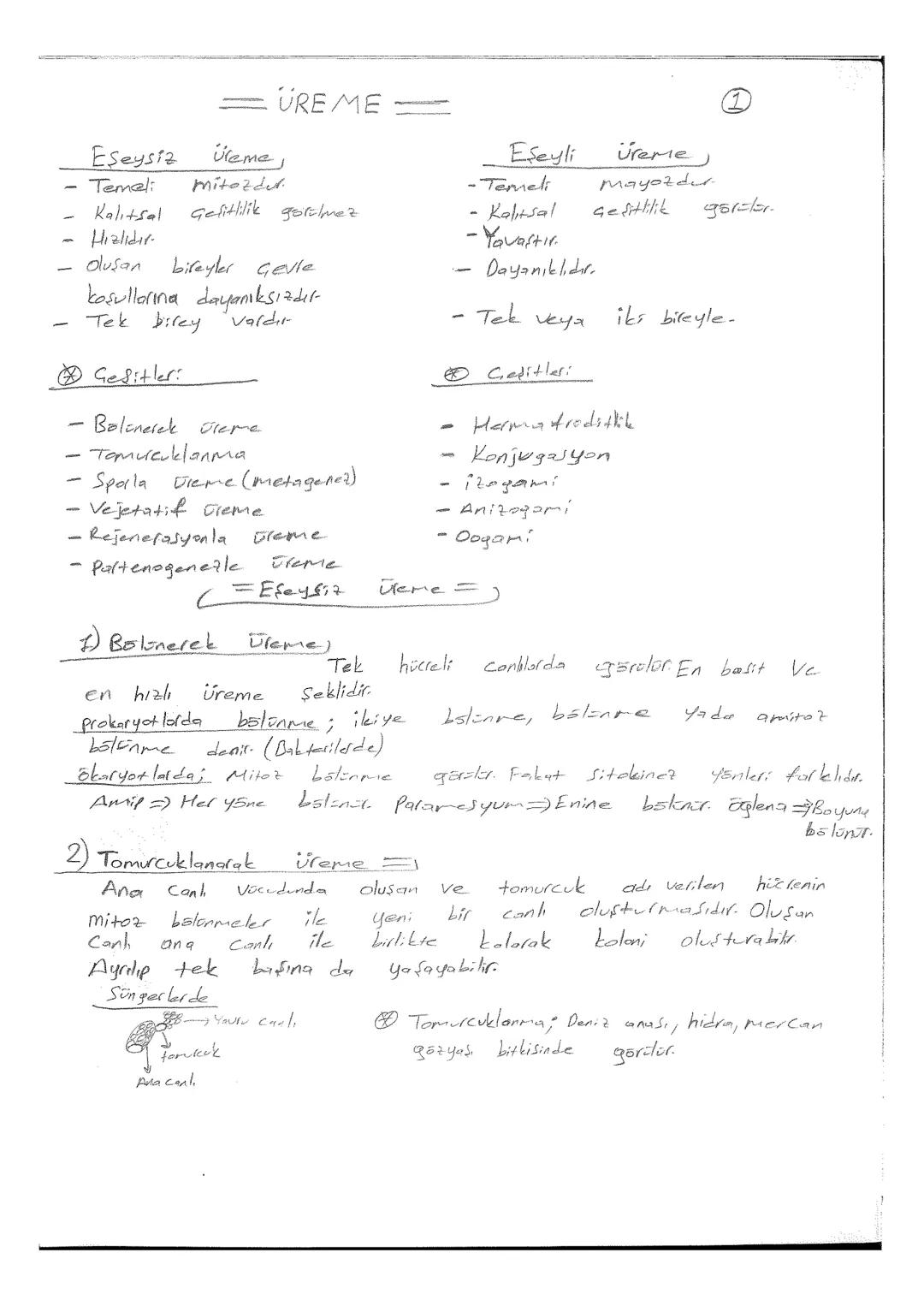 Yağlar (Lipitler) #
- Yapılarında
Hidrojen
atomu
sok
olduğu
için
Solunum
ları Sonucu
bol miktarda
ATP
94199
çikor.
Solunumlarıyla
metabolik