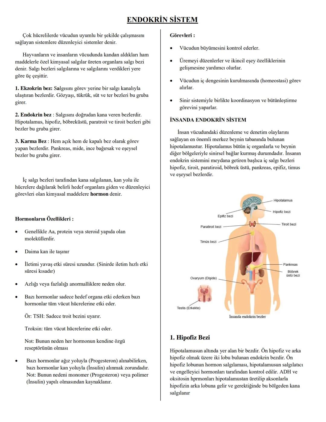 # ENDOKRİN SİSTEM
Çok hücrelilerde vücudun uyumlu bir şekilde çalışmasını
sağlayan sistemlere düzenleyici sistemler denir.
Hayvanların ve