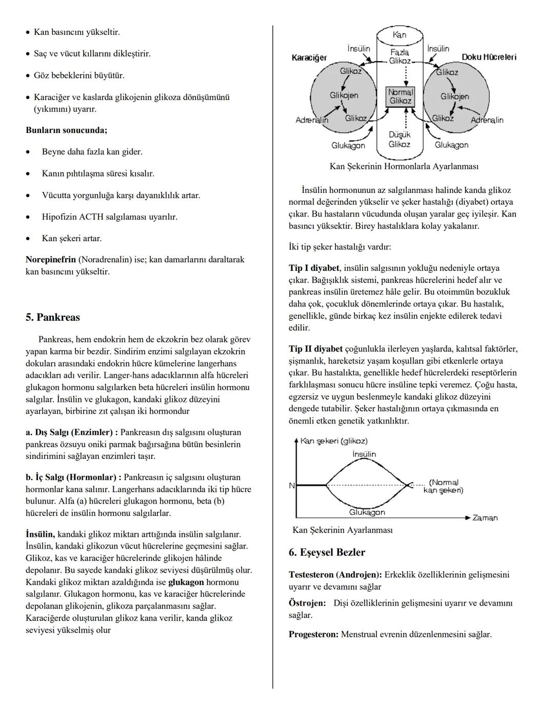 # ENDOKRİN SİSTEM
Çok hücrelilerde vücudun uyumlu bir şekilde çalışmasını
sağlayan sistemlere düzenleyici sistemler denir.
Hayvanların ve