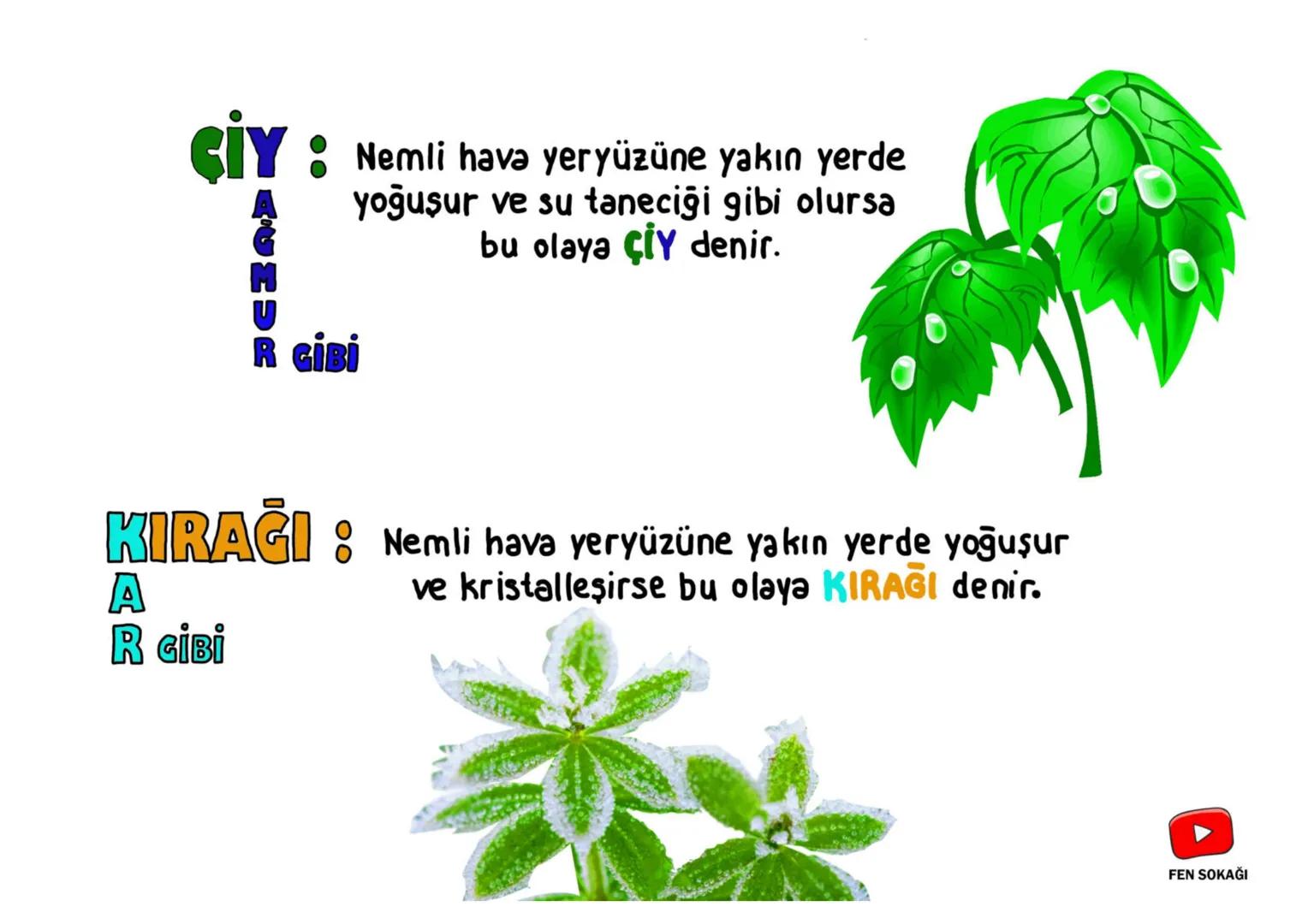 Mevsimler
Viktim
FEN SOKAĞI 1) Kendi etrafında
DÖNMESİ
24 saat
Gece - Gündüz
SHARERITER
กเท
Günlük sıcaklık farkı
L
2) Güneş'in etrafında
DO