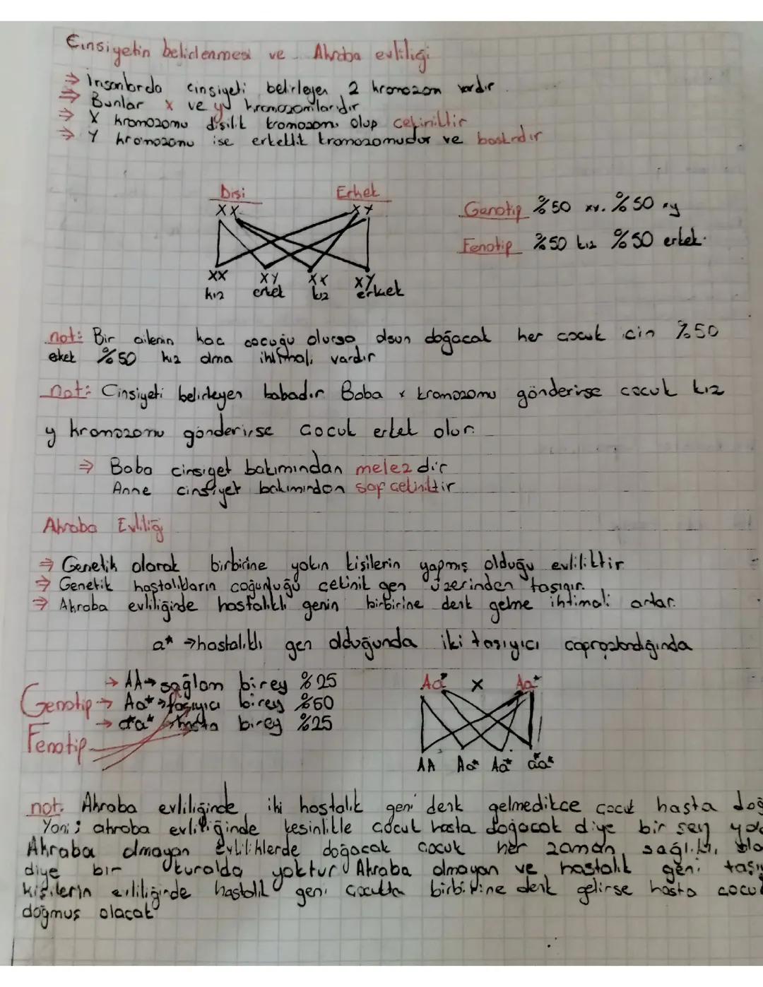 Cinsiyetin belirlenmesi ve Akraba evliliği🧬