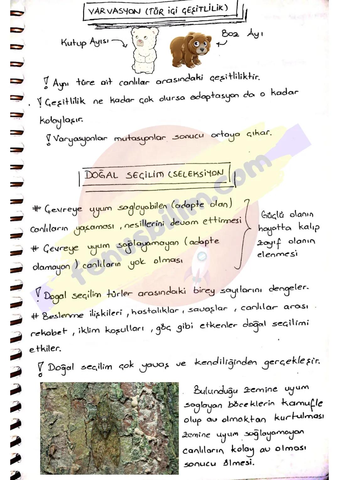 ADAP TASYON
SYON
Canlıların yaşadıkları çevreye uyum sağlayabilmek için;
yaşama
beslenme
korunma
hareket
Öreme
}
şansını arttıran her türlü