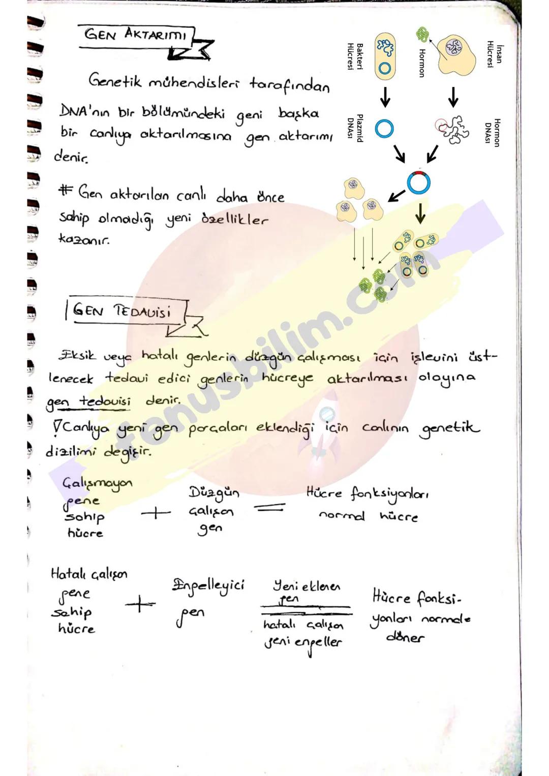 ADAP TASYON
SYON
Canlıların yaşadıkları çevreye uyum sağlayabilmek için;
yaşama
beslenme
korunma
hareket
Öreme
}
şansını arttıran her türlü