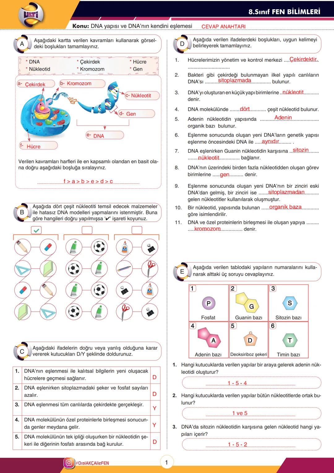 8.Sınıf FEN BİLİMLERİ
A
Konu: DNA yapısı ve DNA'nın kendini eşlemesi
Aşağıdaki kartta verilen kavramları kullanarak görsel-
deki boşlukları