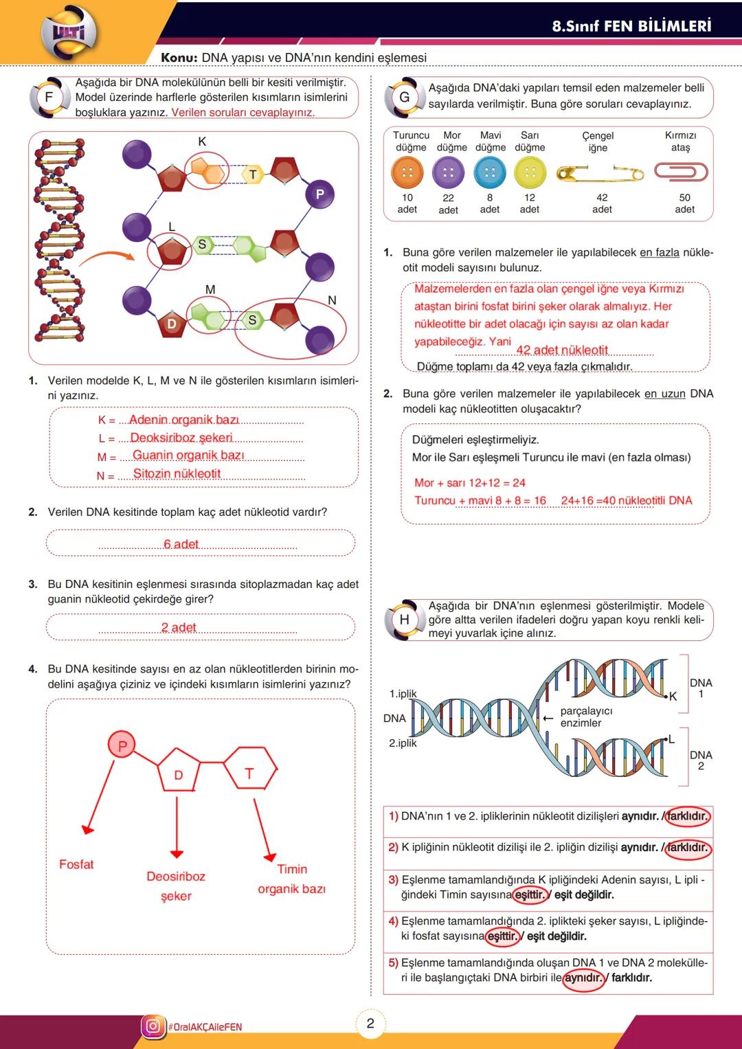 8.Sınıf FEN BİLİMLERİ
A
Konu: DNA yapısı ve DNA'nın kendini eşlemesi
Aşağıdaki kartta verilen kavramları kullanarak görsel-
deki boşlukları