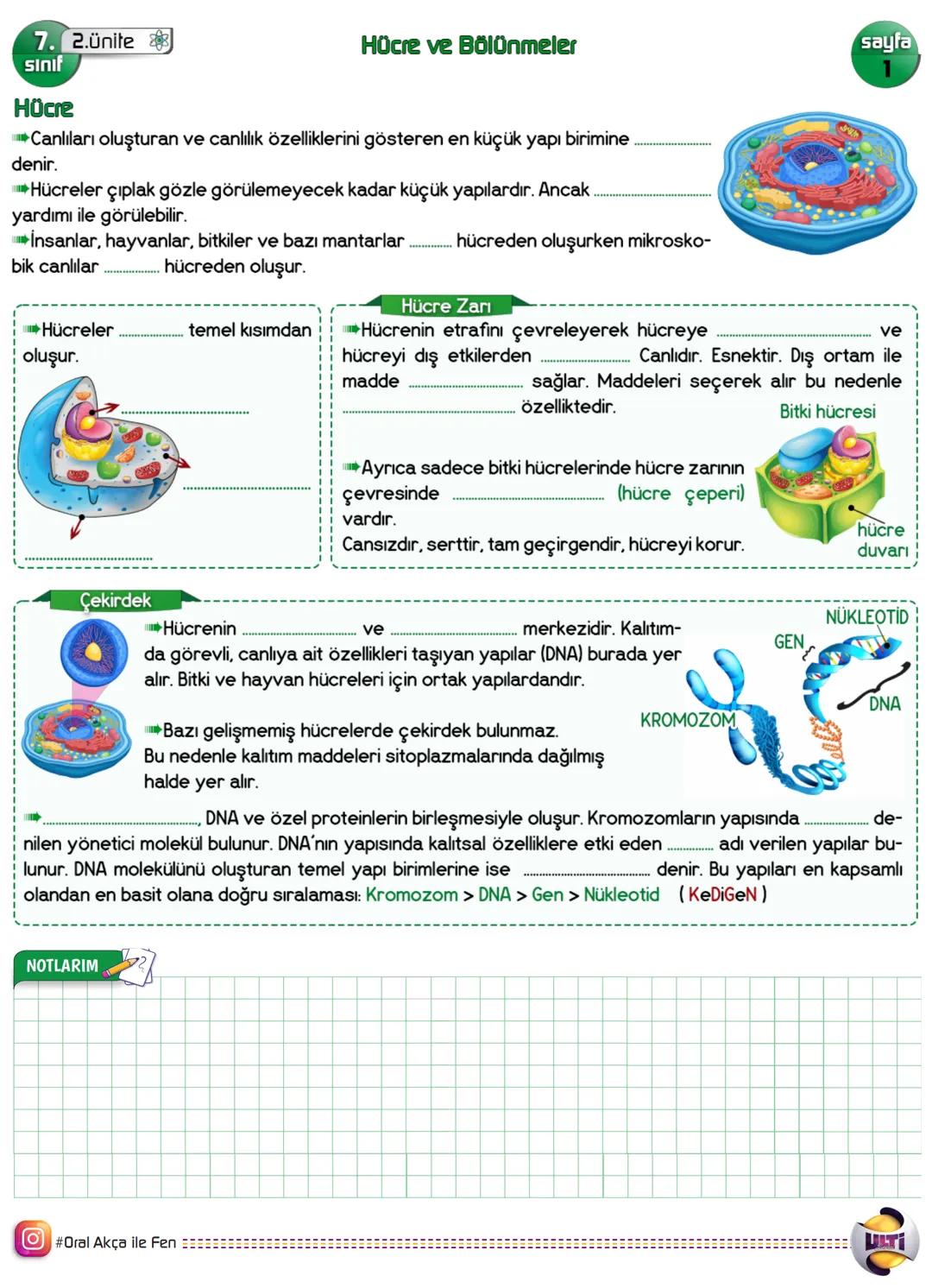 Fen bilimleri 7.sınıf hücre bosluk doldurma ders notu