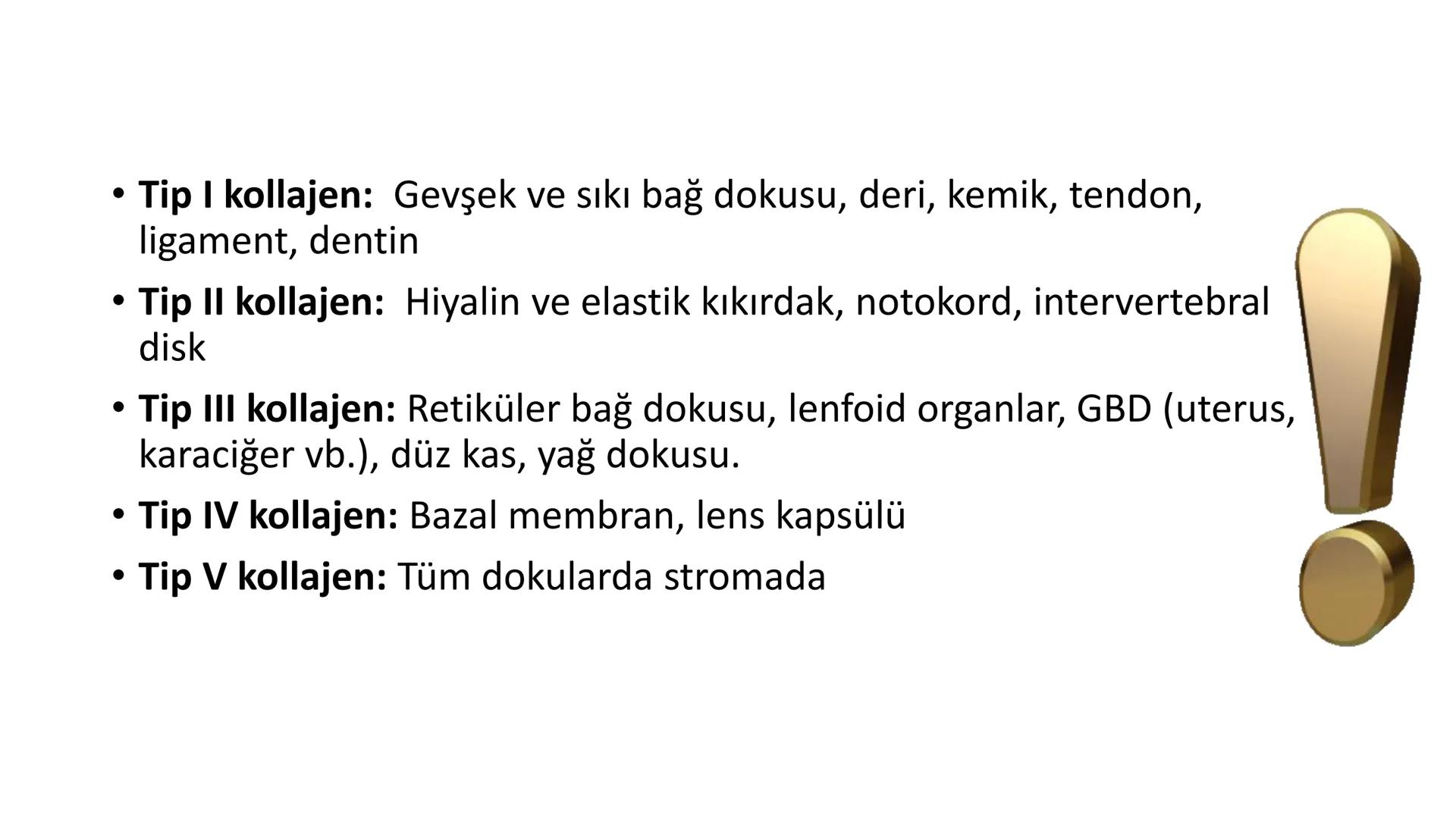 BAĞ DOKU
Doç. Dr. Sanem SARIBAŞ
SBÜ Gülhane Tıp Fakültesi
Histoloji ve Embriyoloji AD Örtü Epiteli
Bağ Doku
Bez Epiteli Bağ doku mezoderm or