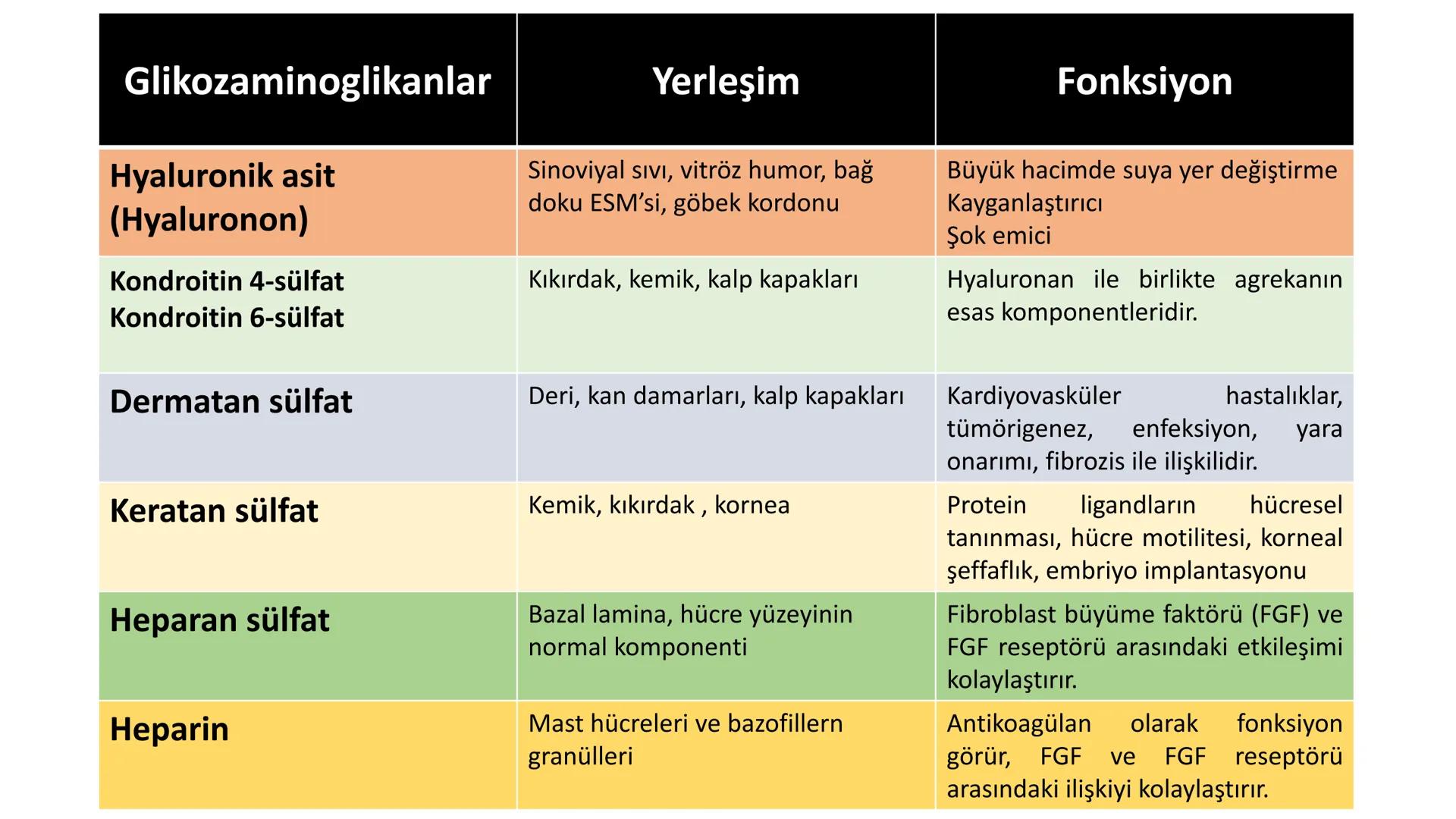 BAĞ DOKU
Doç. Dr. Sanem SARIBAŞ
SBÜ Gülhane Tıp Fakültesi
Histoloji ve Embriyoloji AD Örtü Epiteli
Bağ Doku
Bez Epiteli Bağ doku mezoderm or