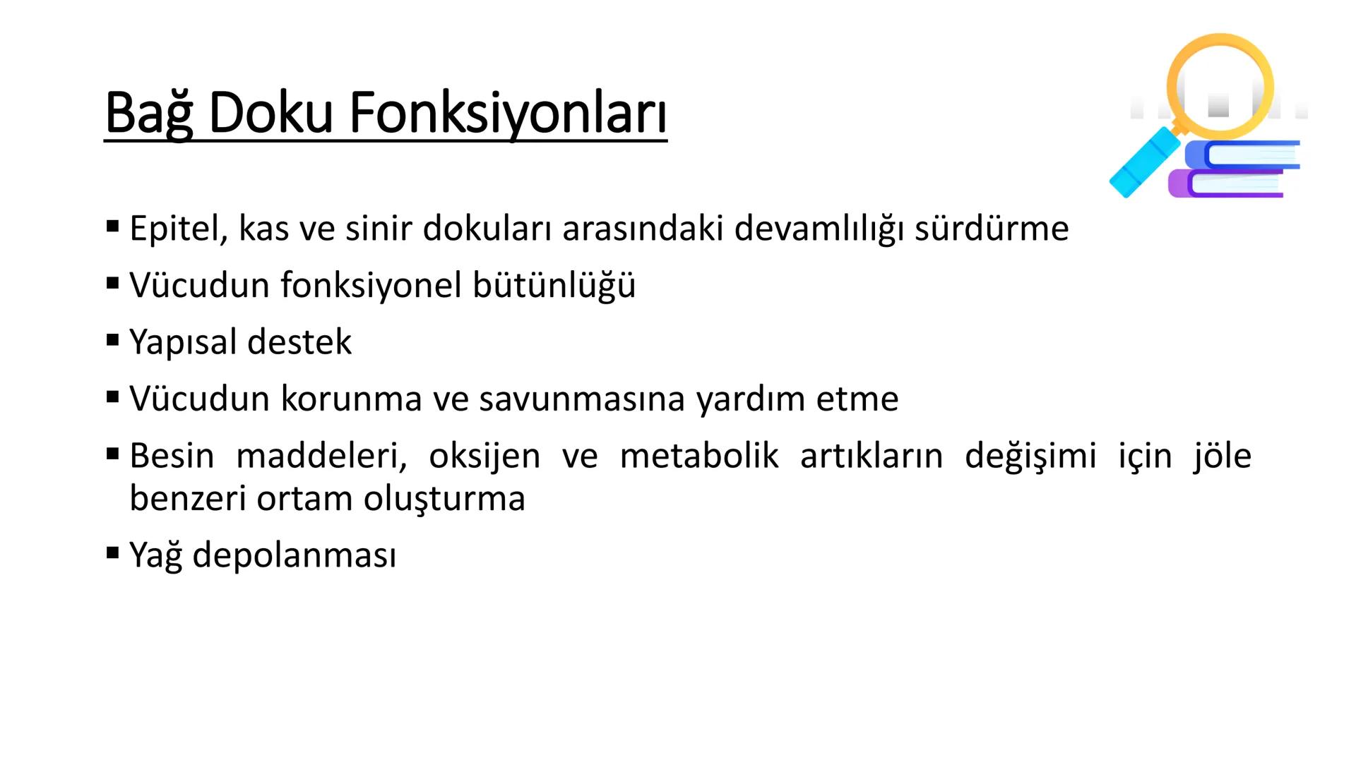 BAĞ DOKU
Doç. Dr. Sanem SARIBAŞ
SBÜ Gülhane Tıp Fakültesi
Histoloji ve Embriyoloji AD Örtü Epiteli
Bağ Doku
Bez Epiteli Bağ doku mezoderm or