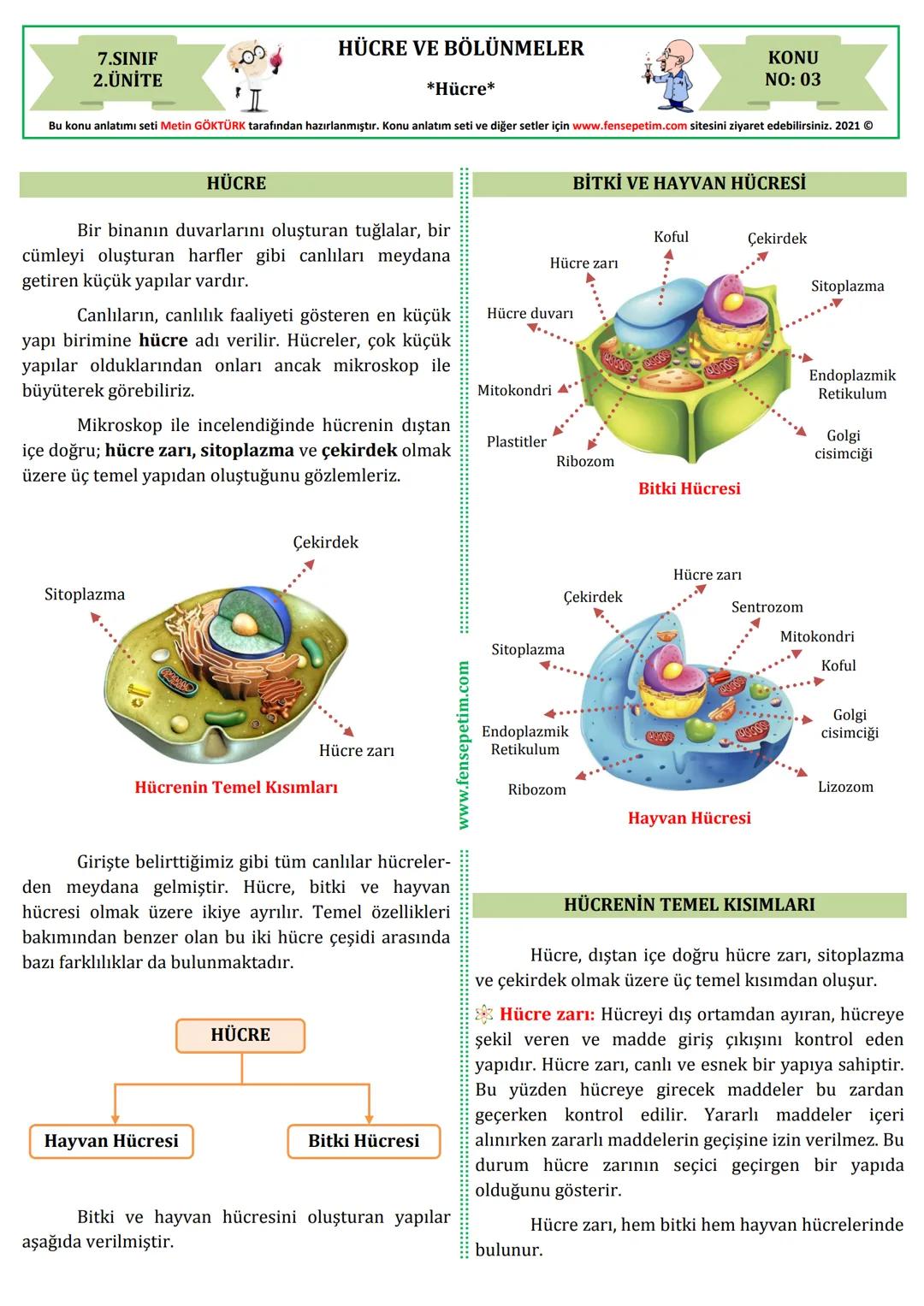 # 7.SINIF
# 2.ÜNİTE
HÜCRE VE BÖLÜNMELER
*Hücre*
KONU
NO: 03
Bu konu anlatımı seti Metin GÖKTÜRK tarafından hazırlanmıştır. Konu anlatım s