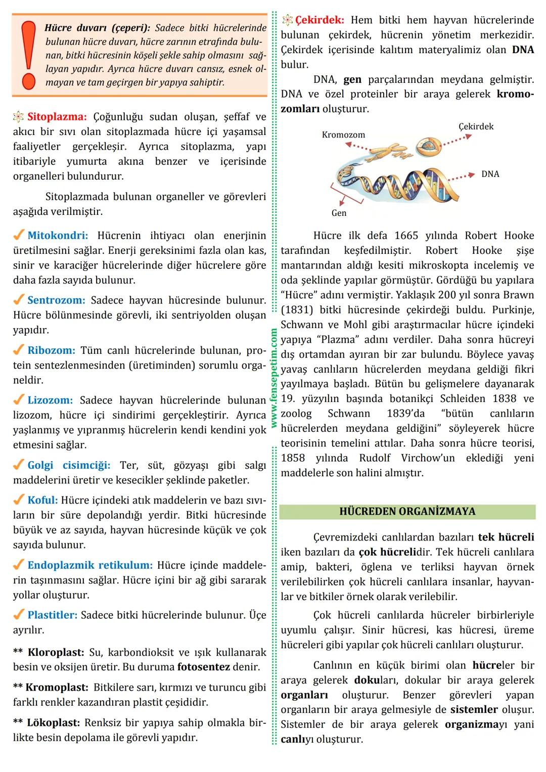 # 7.SINIF
# 2.ÜNİTE
HÜCRE VE BÖLÜNMELER
*Hücre*
KONU
NO: 03
Bu konu anlatımı seti Metin GÖKTÜRK tarafından hazırlanmıştır. Konu anlatım s