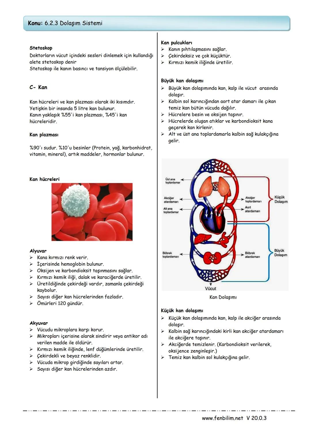 # Konu: 6.2.3 Dolaşım Sistemi
Hücrelere gerekli olan besin ve oksijeni taşır, oluşan atık
maddeleri de uzaklaştıran sisteme dolaşım sistemi