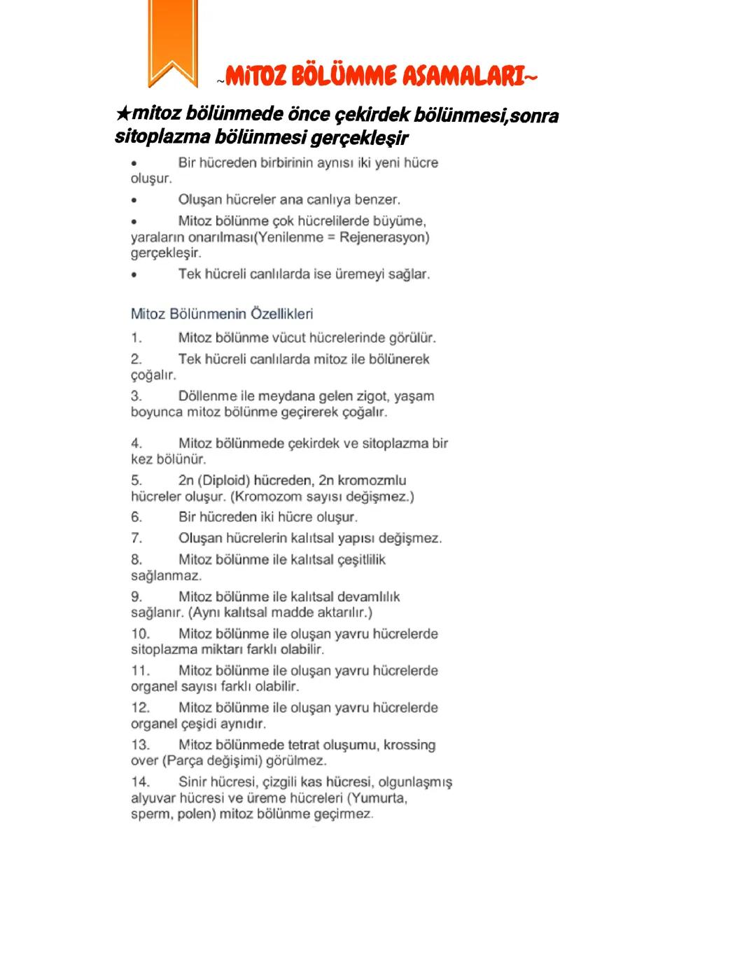 7. Sınıf Fen Bilimleri 2. Ünite Mitoz Bölünme