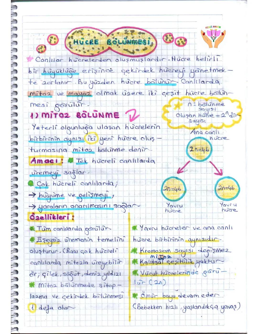 7.sinif fen bilimleri HUCRE BOLUNMESİ