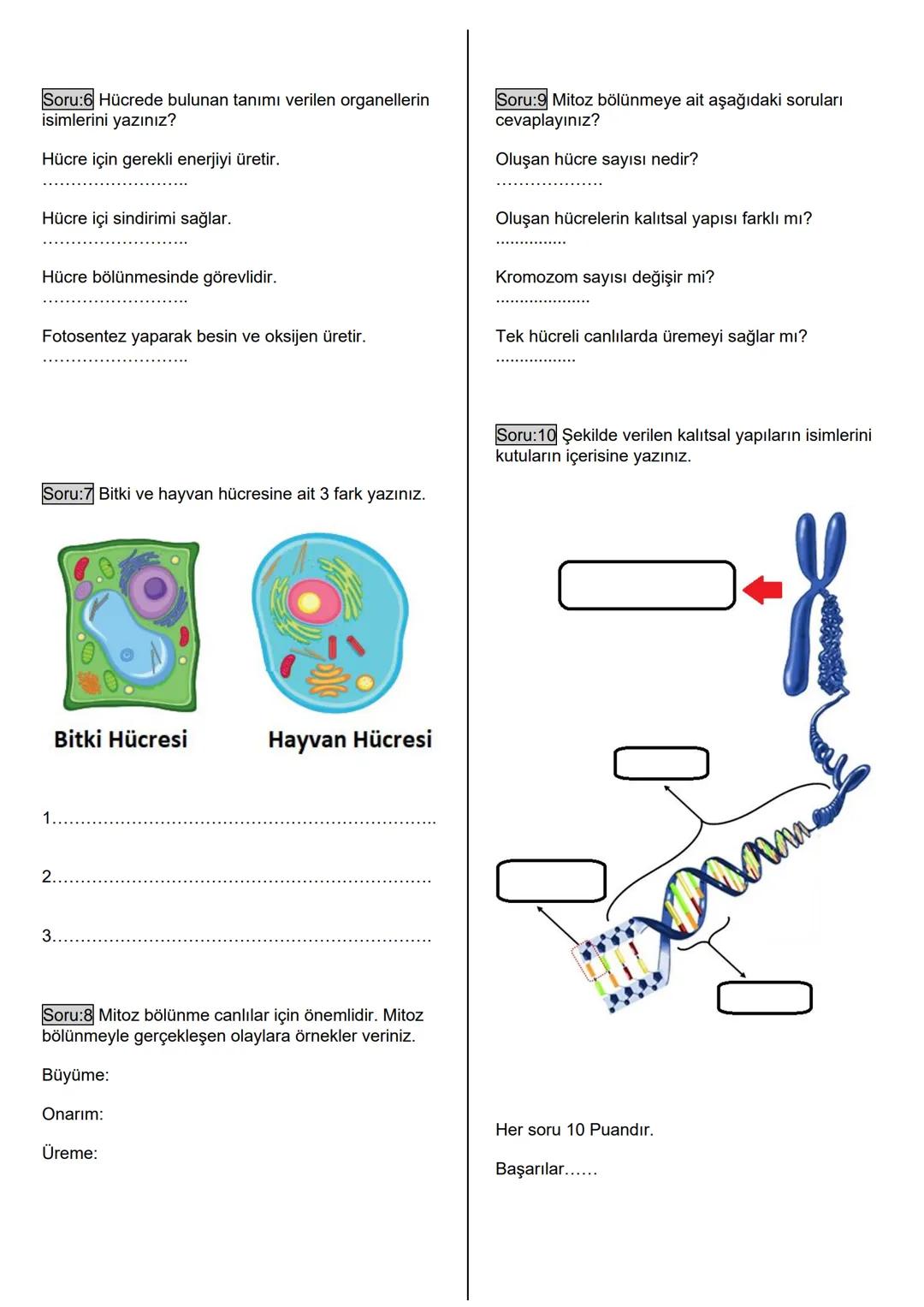 Adı:
Soyadı:
Sınıfı:
No:
. ORTAOKULU
2024-2025 EĞİTİM ÖĞRETİM YILI
FEN BİLİMLERİ DERSİ
7. SINIF I. DÖNEM I. YAZILI SORULARI
Tarih: ..../.../