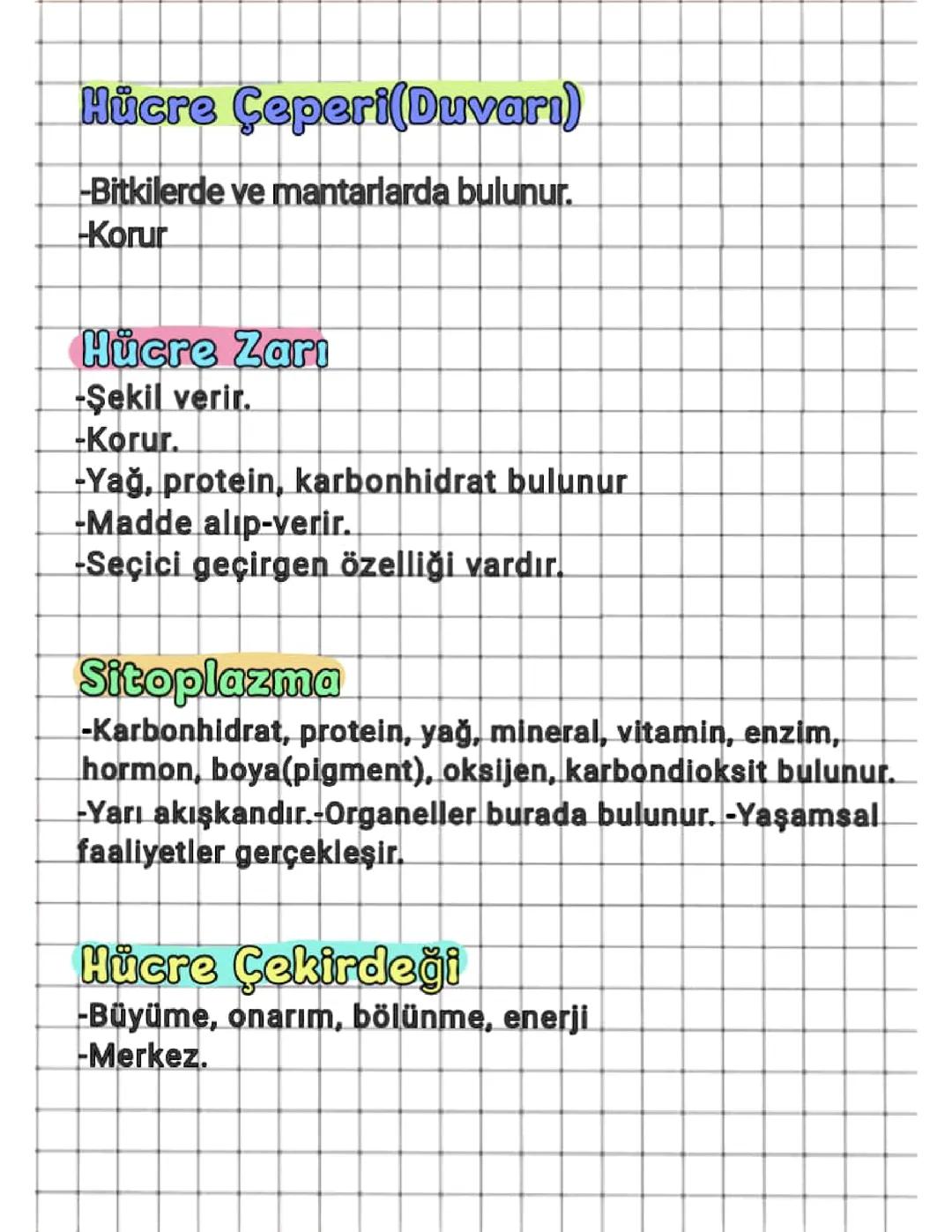 7.Sınıf Fen Bilimleri;Hücreler