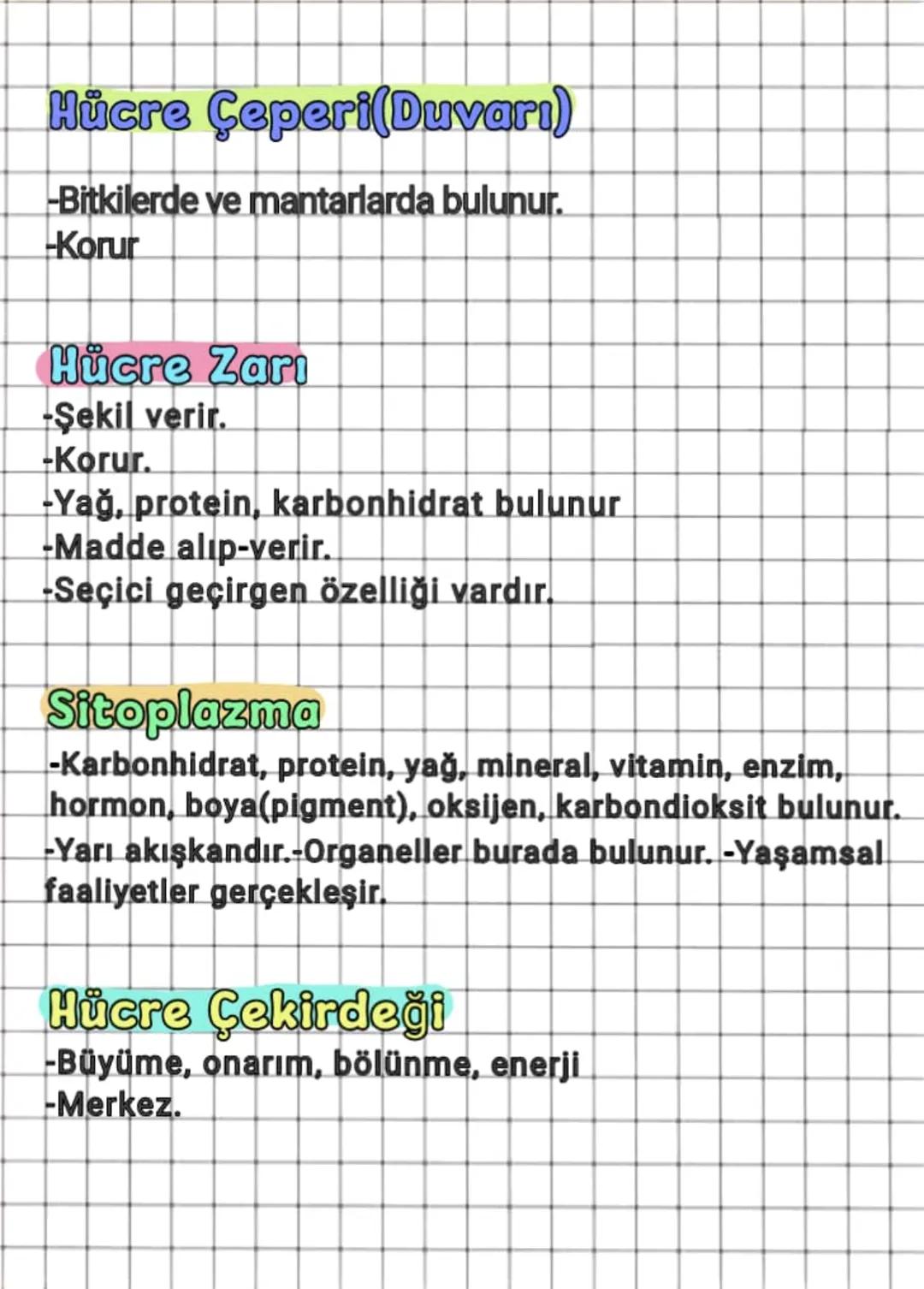 Hücre Çeperi(Duvarı)
-Bitkilerde ve mantarlarda bulunur.
-Korur
Hücre Zari
-Şekil verir.
-Korur.
-Yağ, protein, karbonhidrat bulunur
-Madde