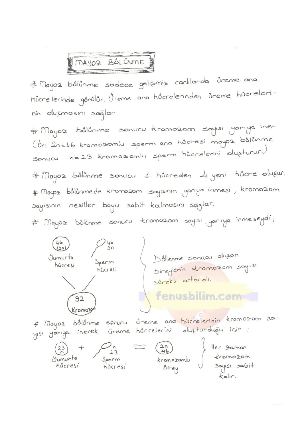 HÜCRE
✓ Canlıların, canlılık özelliğini gösteren en küçük yapı ve görev
birimine hücre denir.
V Hücreler çok küçük yapılı olduklarından dola