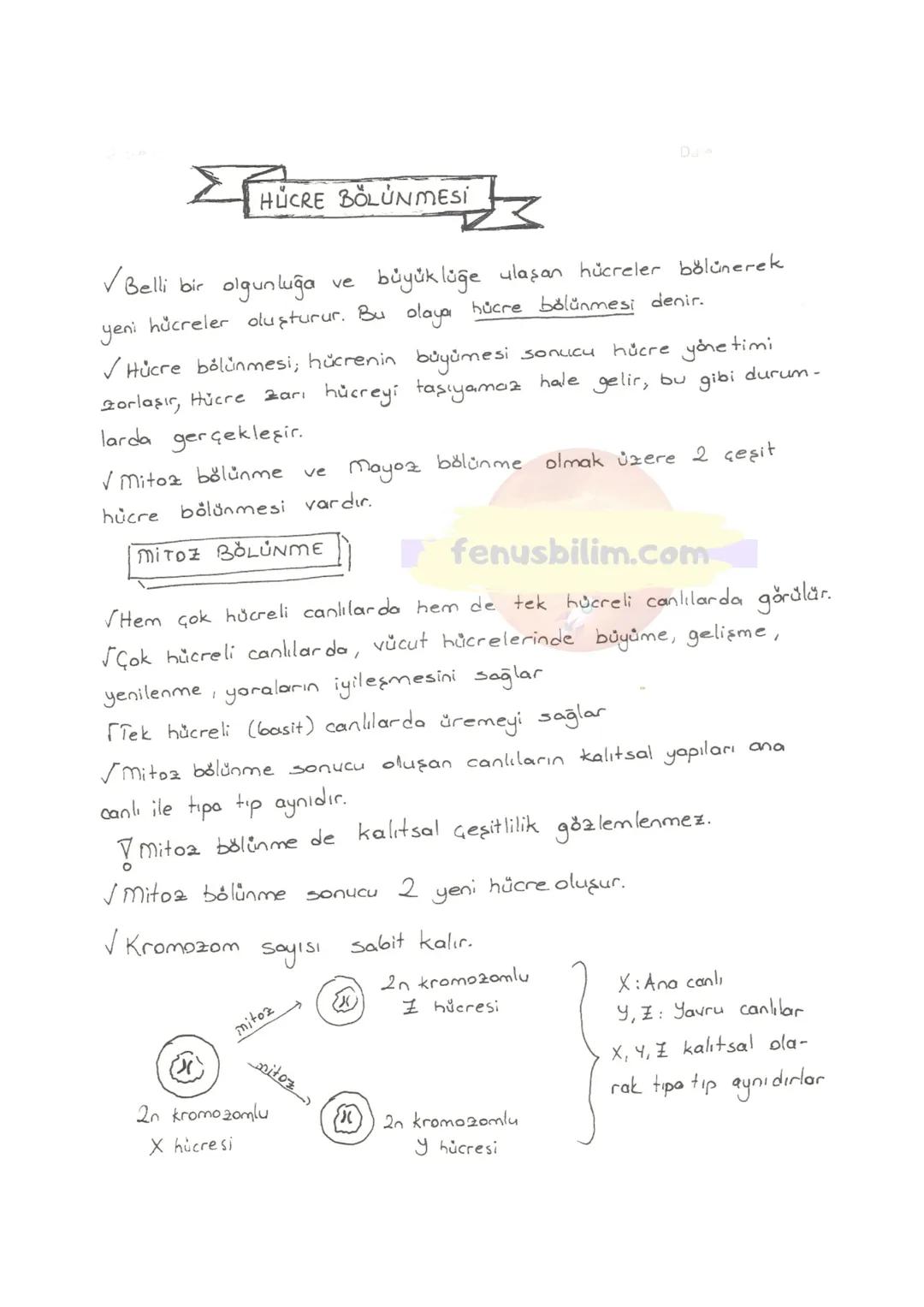 HÜCRE
✓ Canlıların, canlılık özelliğini gösteren en küçük yapı ve görev
birimine hücre denir.
V Hücreler çok küçük yapılı olduklarından dola