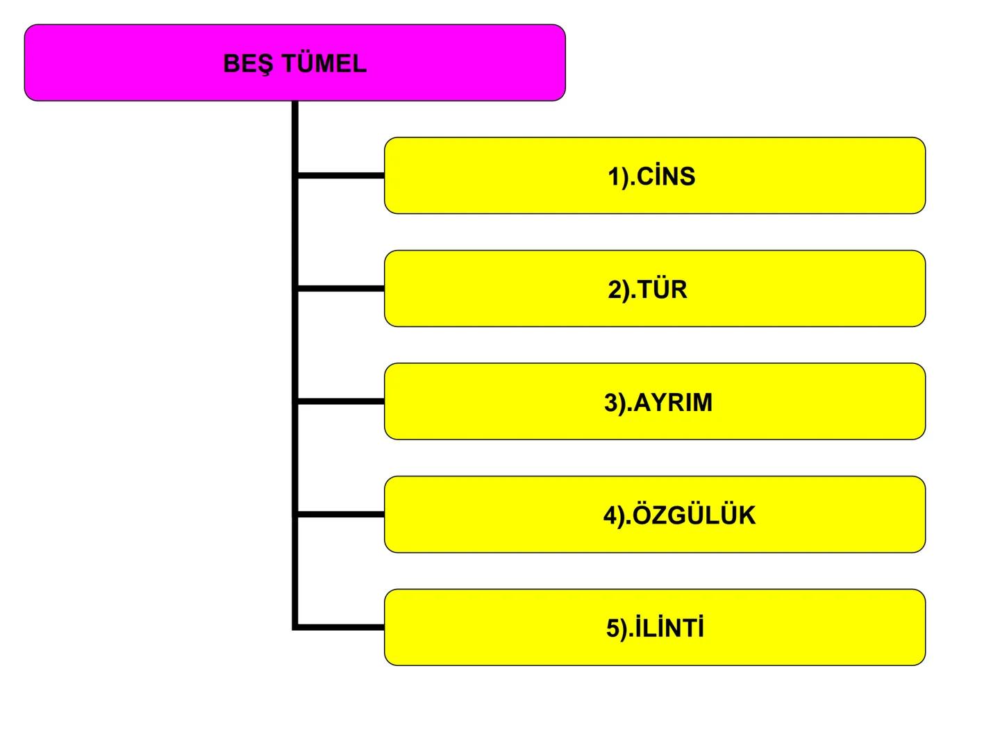 # ÜNİTE 2 : KİLASİK MANTIK
# KONU: BEŞ TÜMEL VE KAVRAMLAR
# ARASI İLİŞKİLER BEŞ TÜMEL
1).CİNS
2).TÜR
3).AYRIM
4).ÖZGÜLÜK
5).İLİNTİ # B