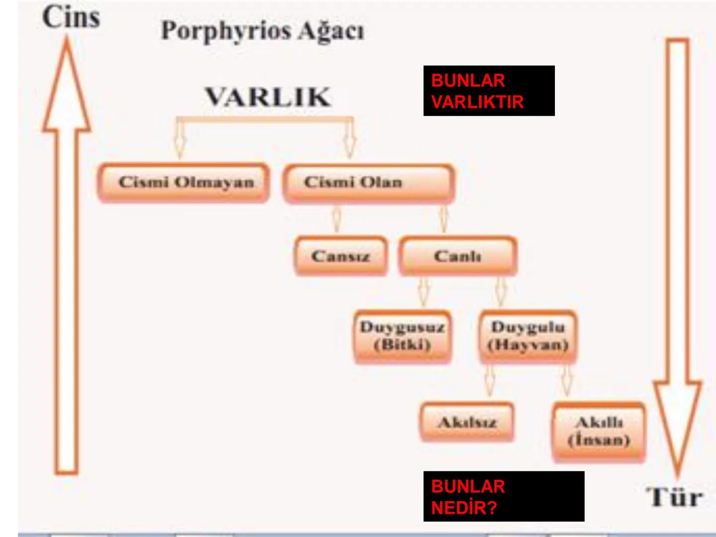 # ÜNİTE 2 : KİLASİK MANTIK
# KONU: BEŞ TÜMEL VE KAVRAMLAR
# ARASI İLİŞKİLER BEŞ TÜMEL
1).CİNS
2).TÜR
3).AYRIM
4).ÖZGÜLÜK
5).İLİNTİ # B