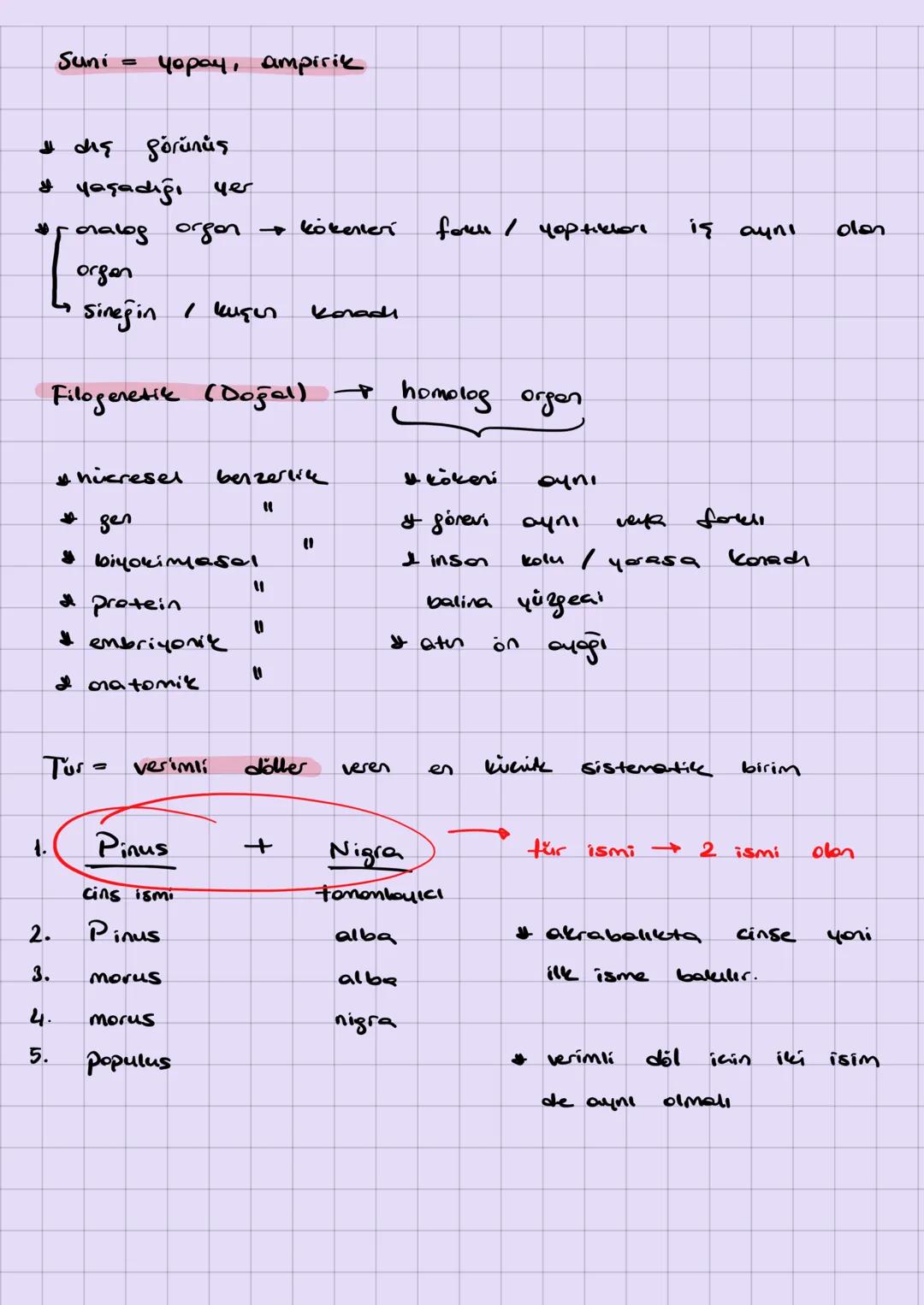Suni =
yopay, ampirik
* dış görünüş
* yaşadığı yer
* analog organ $\rightarrow$ kökenleri form / yoptiklorı iş aynı olan
orgen
$\hookrighta