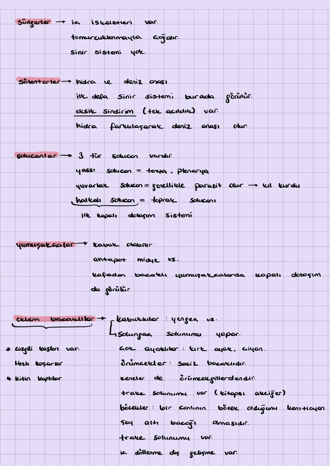 Suni =
yopay, ampirik
* dış görünüş
* yaşadığı yer
* analog organ $\rightarrow$ kökenleri form / yoptiklorı iş aynı olan
orgen
$\hookrighta