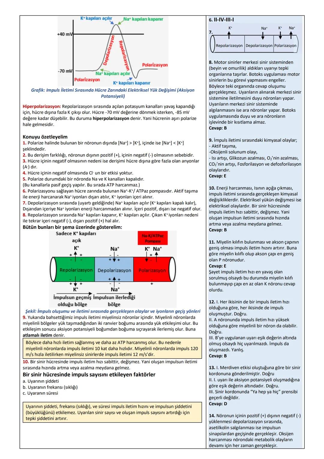DENETLEYİCİ ve DÜZENLEYİCİ SİSTEM
11. SINIF ÜNİTE, KONU, KAZANIM VE AÇIKLAMALARI
11.1. İnsan Fizyolojisi
11.1.1. Denetleyici ve Düzenleyici