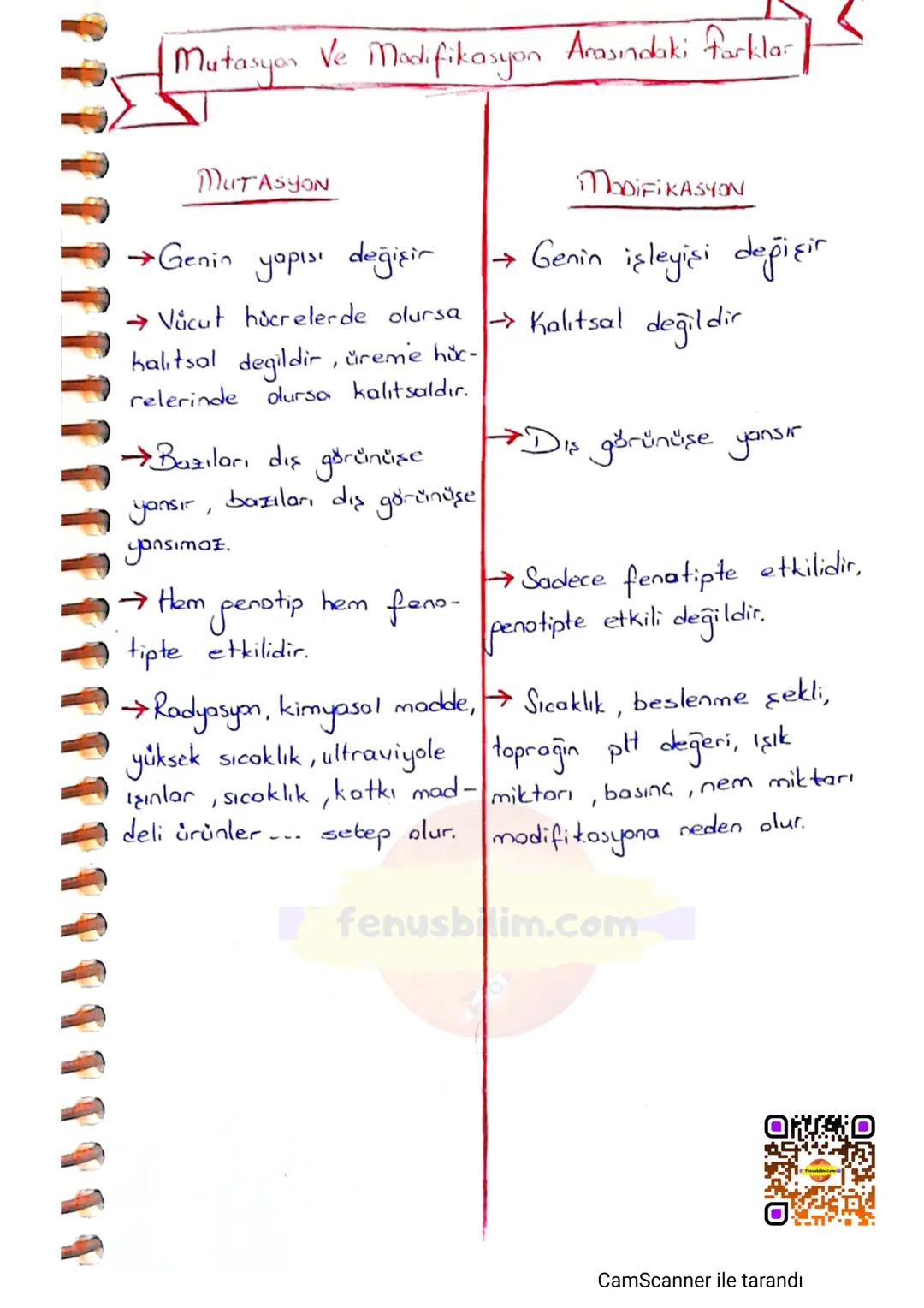 # MUTASYON
DNA'nın kendini eşlemesi sırasında oluşan hatalı
eşleşmeler ya da eşlenmeme gibi durumlarda genlerde
değişmeler meydono gelir.
D