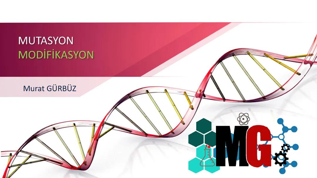 Mutasyon, modifikasyon, adaptasyon kısa notlar fen bilimleri 8. Sınıf