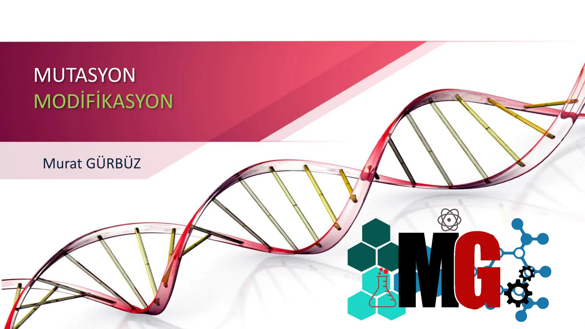 MUTASYON
MODİFİKASYON
Murat GÜRBÜZ
*MG Mutasyon
• Genetik özelliklerin yavru bireylere aktarılması DNA ile gerçekleşir. DNA,
hücre bölünmesi