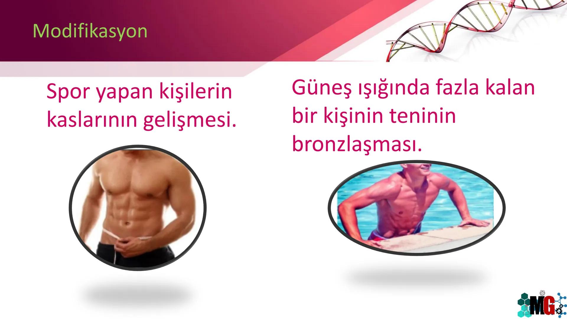 MUTASYON
MODİFİKASYON
Murat GÜRBÜZ
*MG Mutasyon
• Genetik özelliklerin yavru bireylere aktarılması DNA ile gerçekleşir. DNA,
hücre bölünmesi