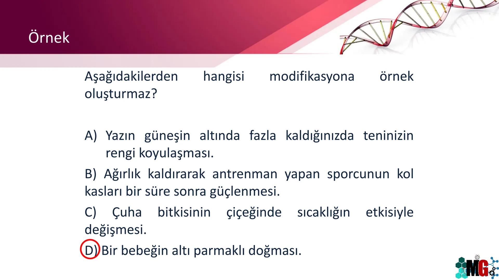 MUTASYON
MODİFİKASYON
Murat GÜRBÜZ
*MG Mutasyon
• Genetik özelliklerin yavru bireylere aktarılması DNA ile gerçekleşir. DNA,
hücre bölünmesi
