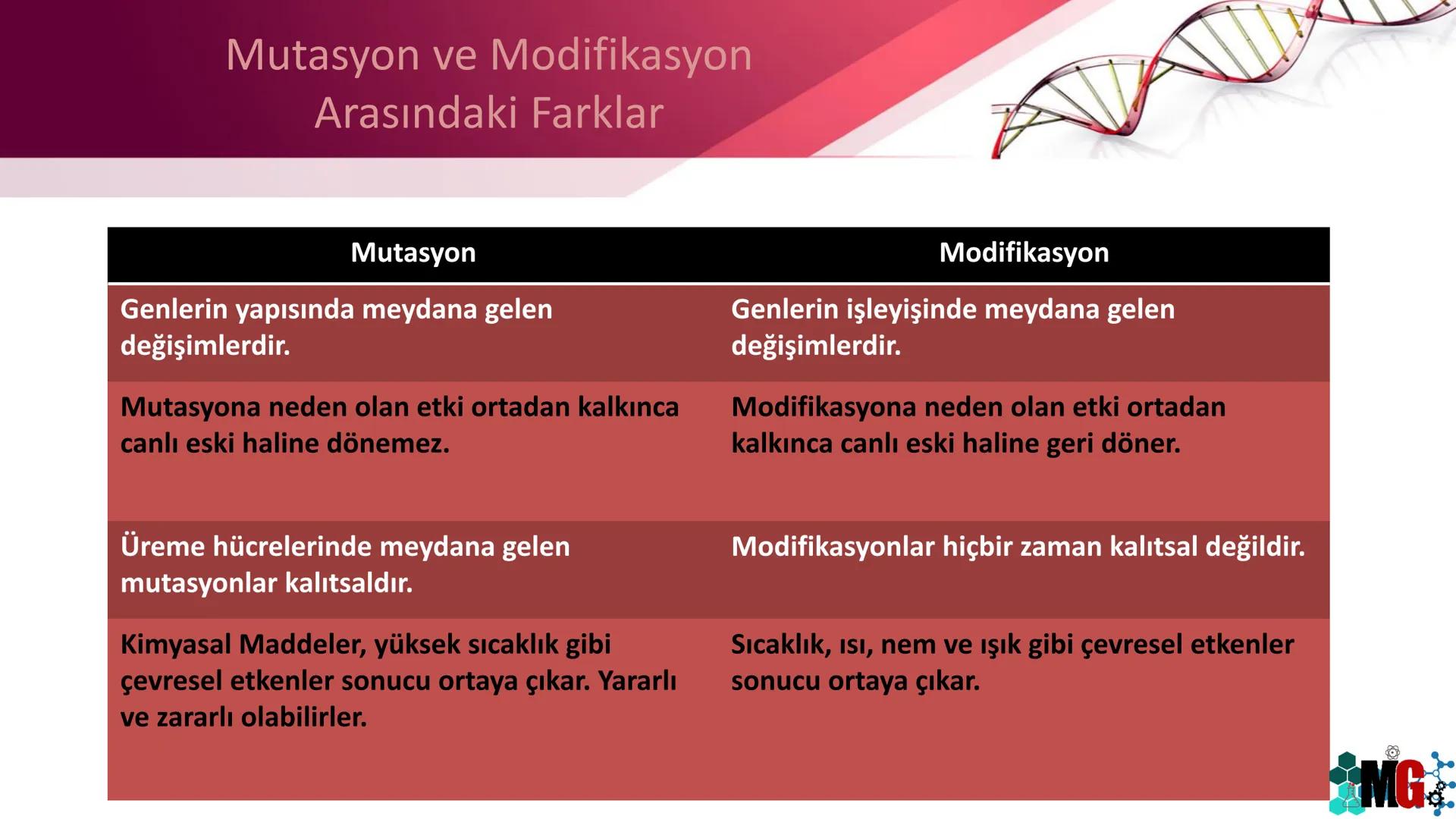 MUTASYON
MODİFİKASYON
Murat GÜRBÜZ
*MG Mutasyon
• Genetik özelliklerin yavru bireylere aktarılması DNA ile gerçekleşir. DNA,
hücre bölünmesi