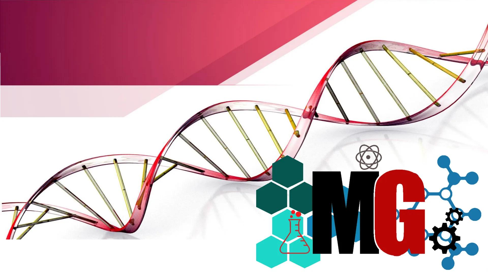 MUTASYON
MODİFİKASYON
Murat GÜRBÜZ
*MG Mutasyon
• Genetik özelliklerin yavru bireylere aktarılması DNA ile gerçekleşir. DNA,
hücre bölünmesi