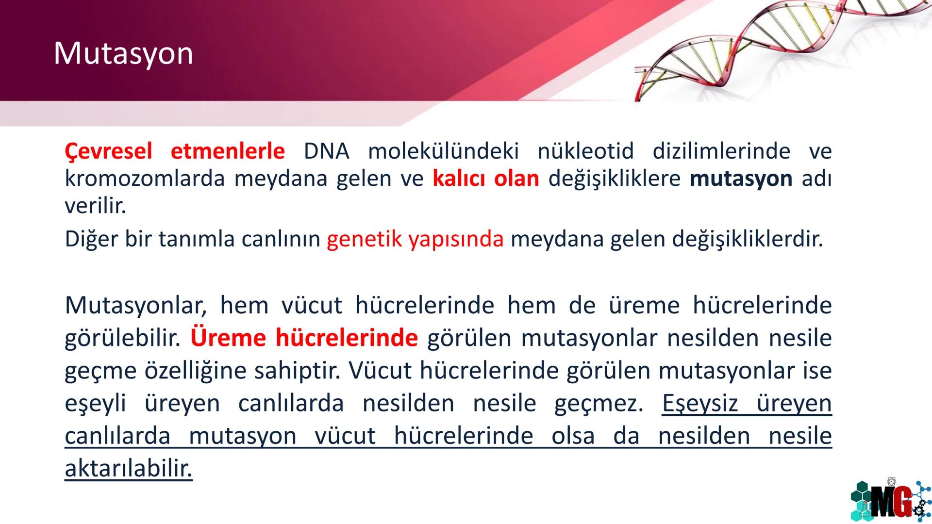 MUTASYON
MODİFİKASYON
Murat GÜRBÜZ
*MG Mutasyon
• Genetik özelliklerin yavru bireylere aktarılması DNA ile gerçekleşir. DNA,
hücre bölünmesi